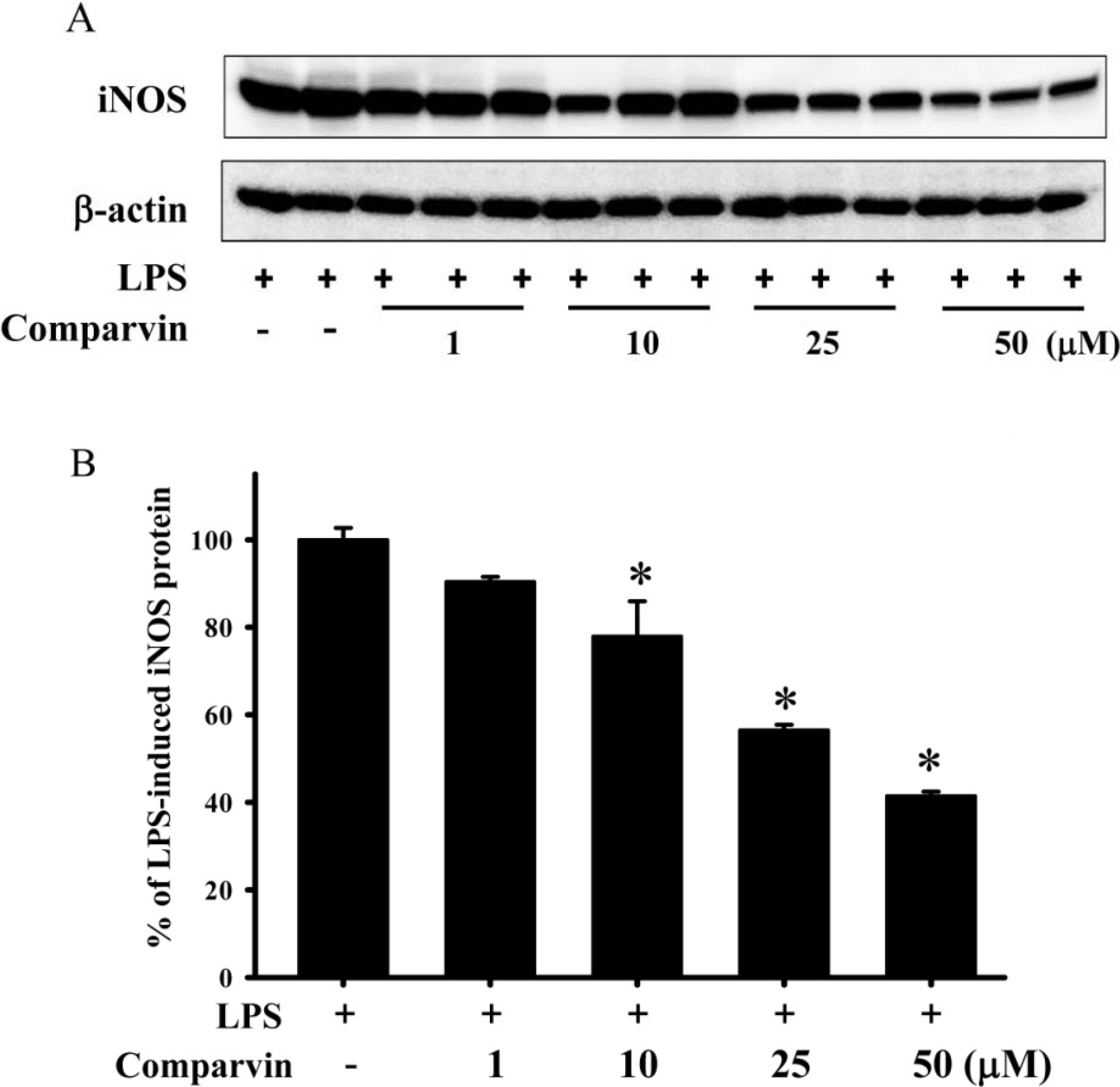 Molecules 19 14667 g003