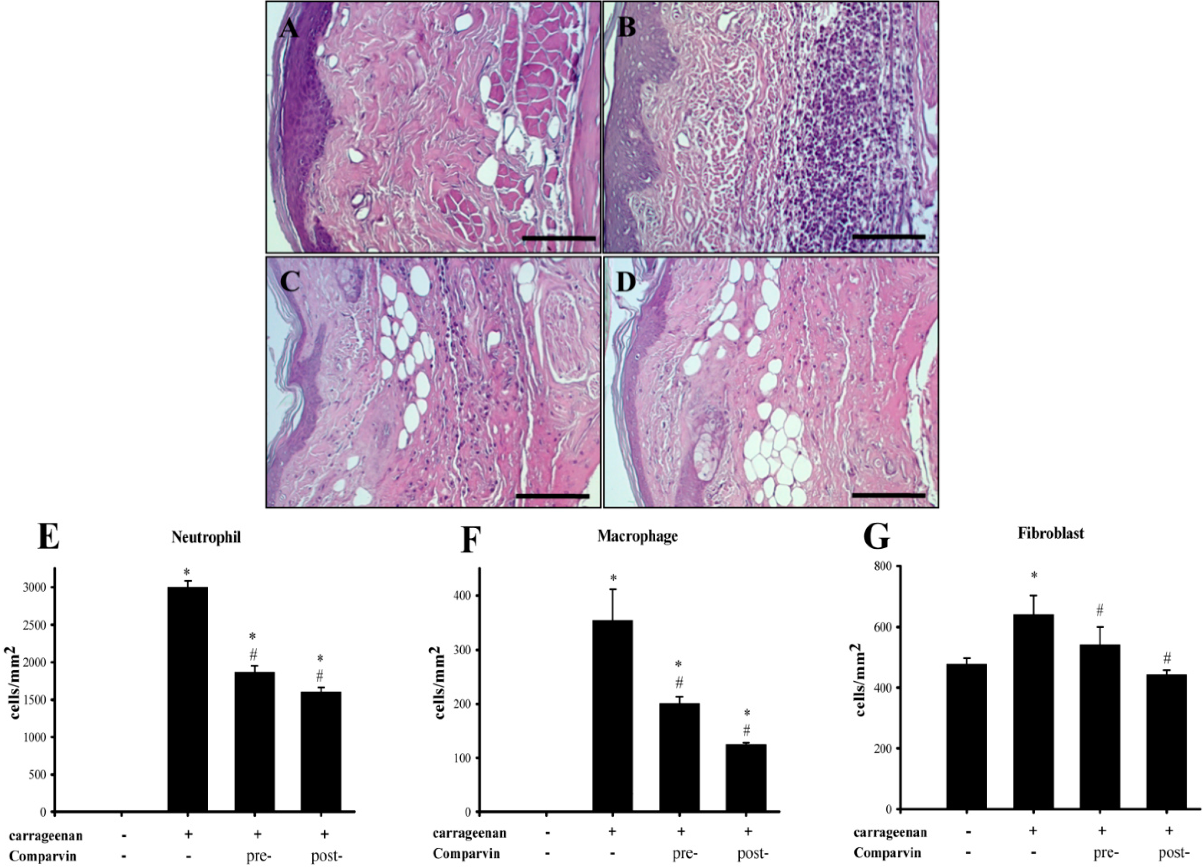 Molecules 19 14667 g008