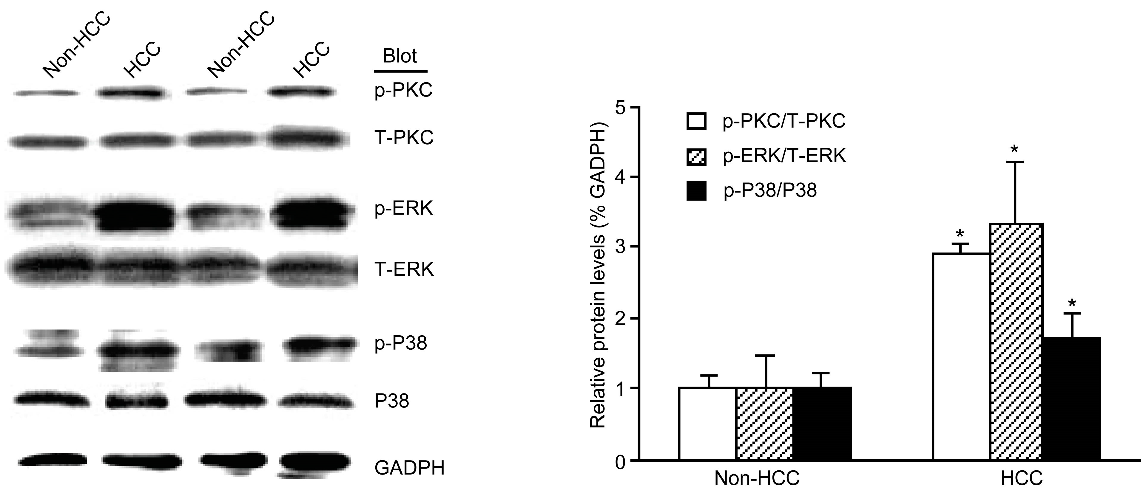Molecules 19 20768 g003