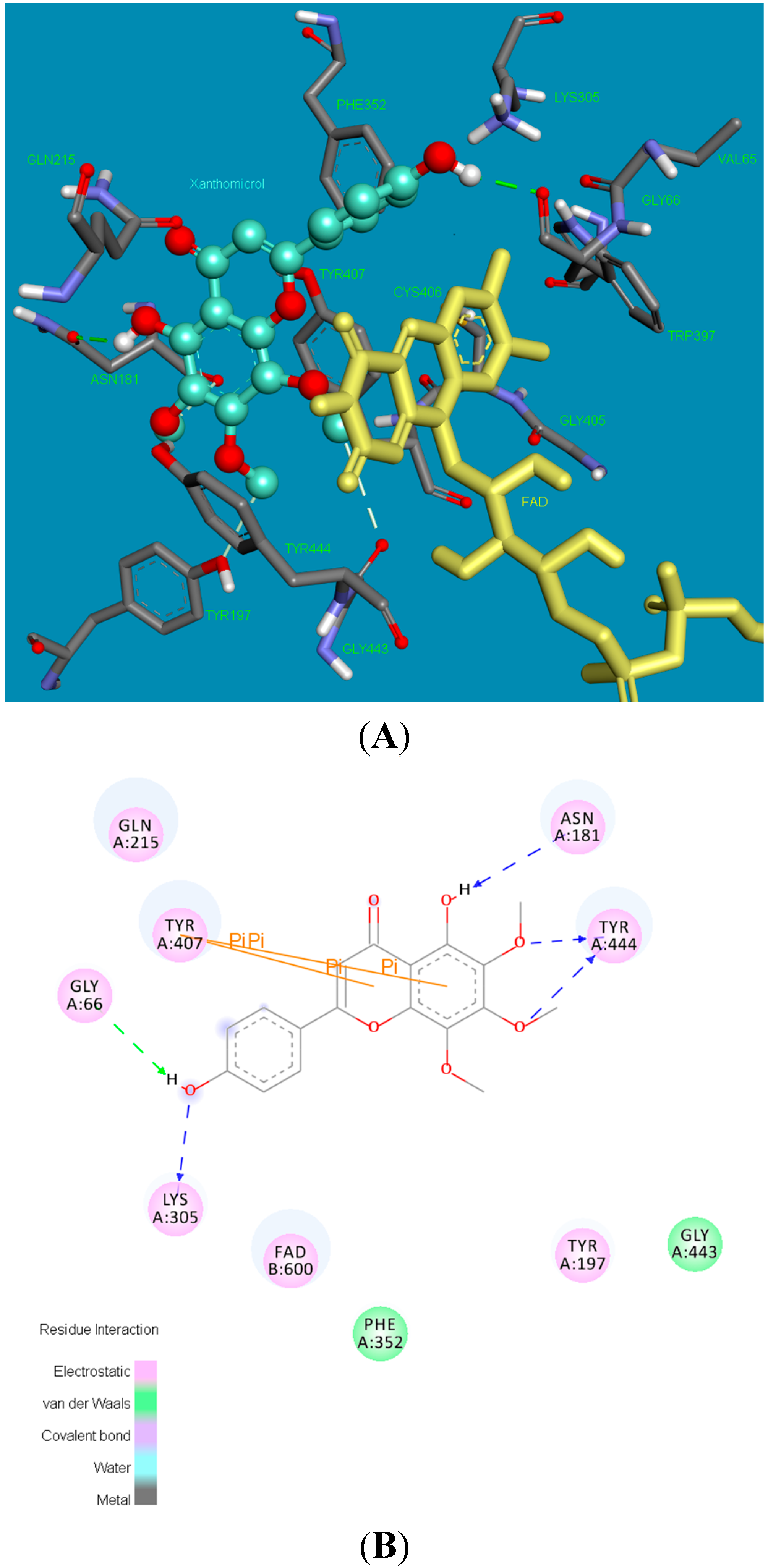 Molecules 20 07454 g004