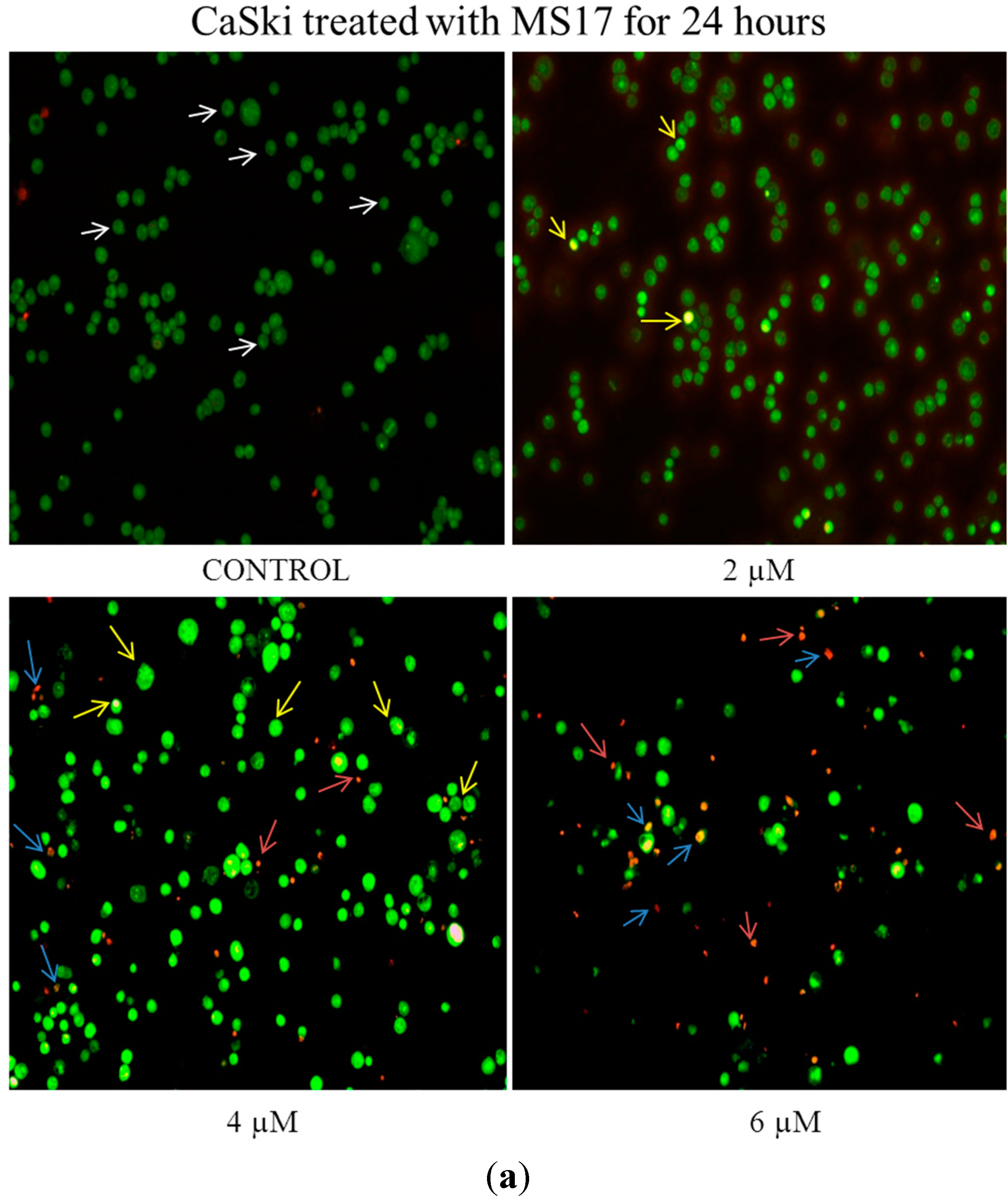 Molecules 20 11830 g006a