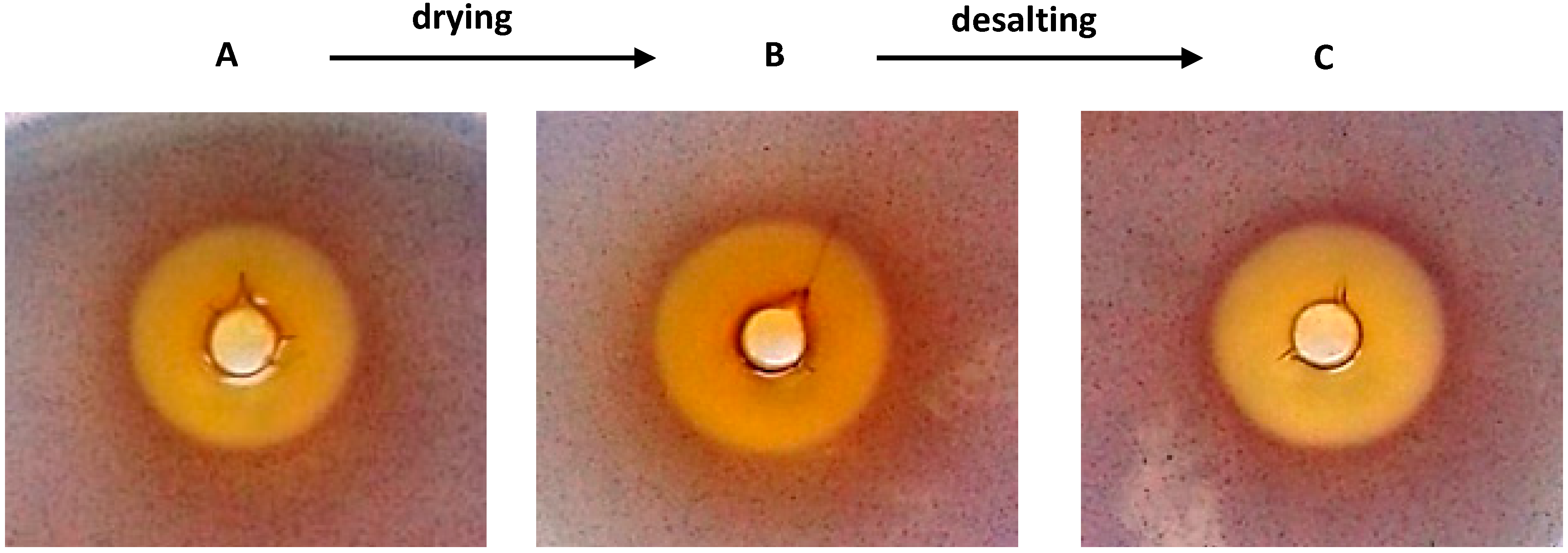 Molecules 20 17093 g001