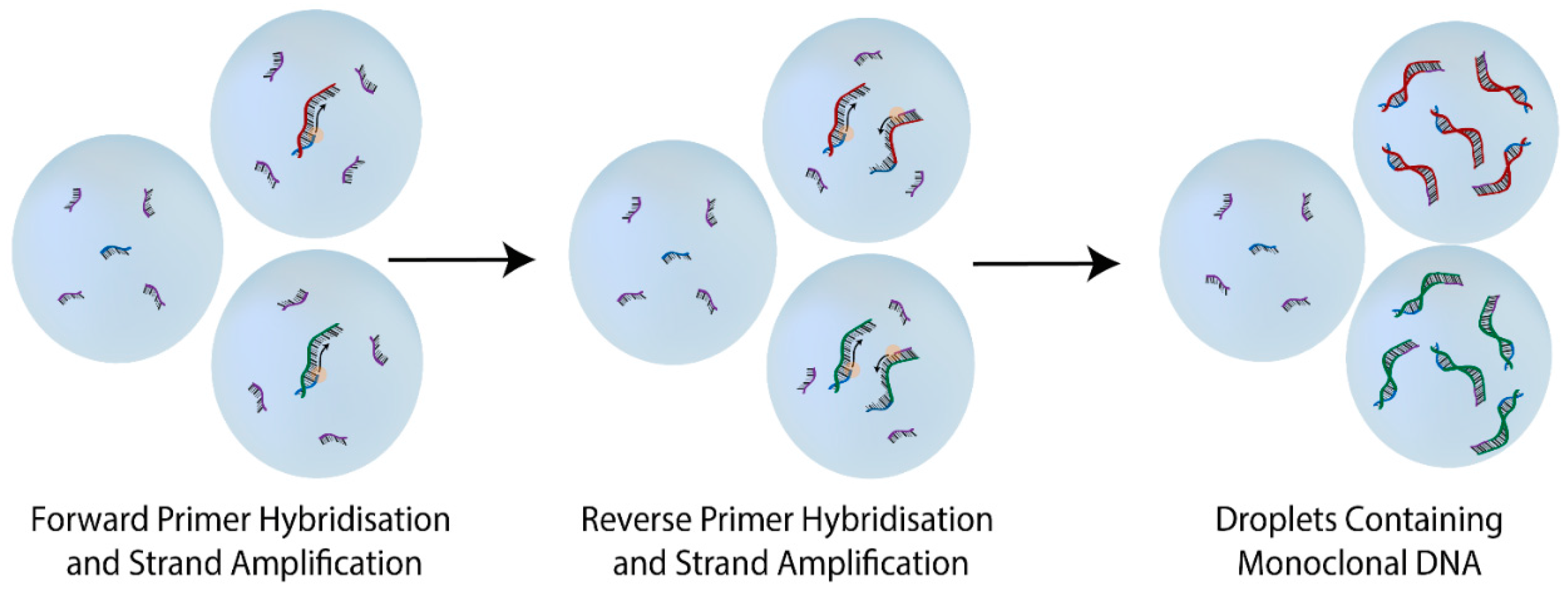Molecules 20 19766 g003