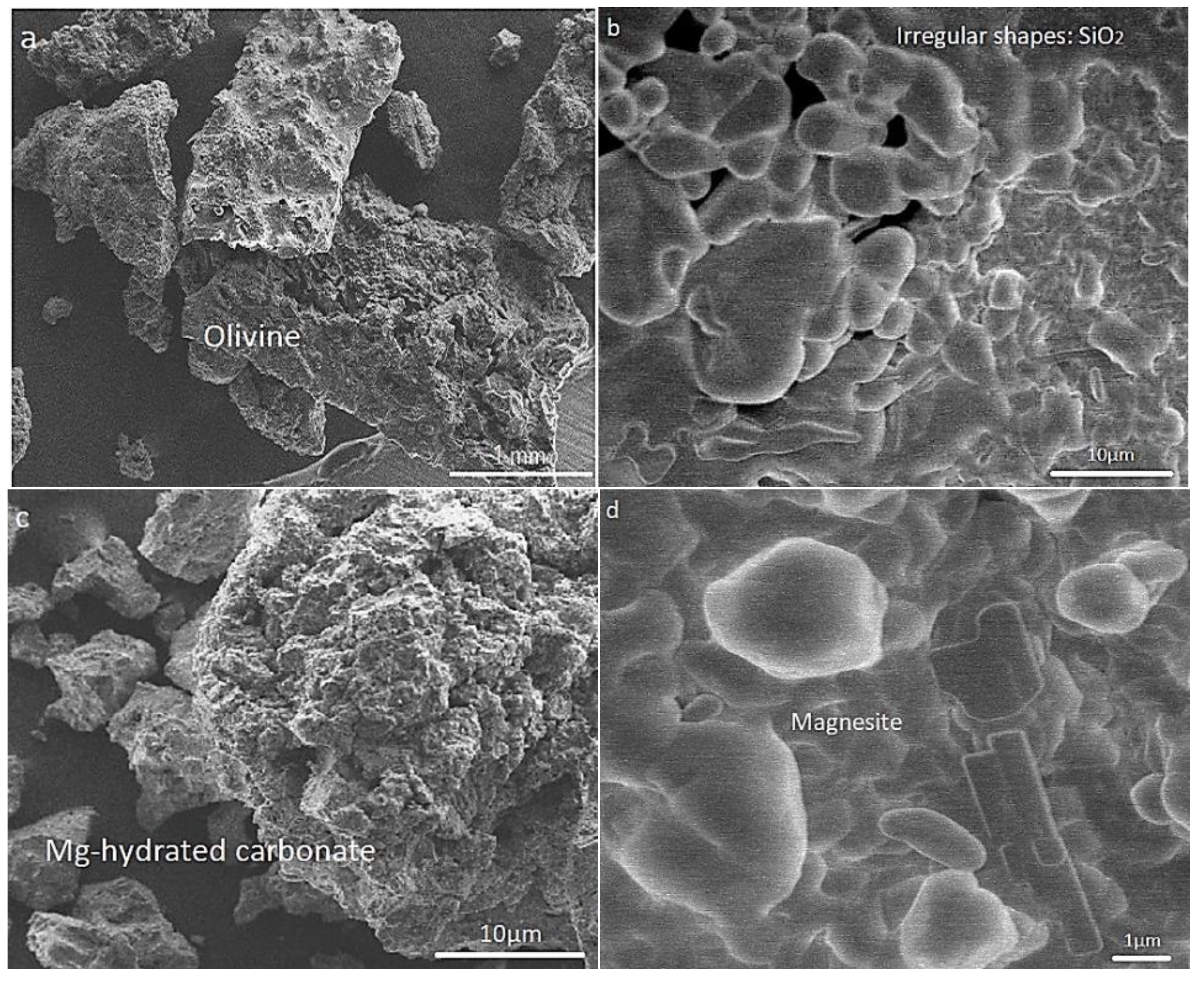 Molecules 21 00353 g002