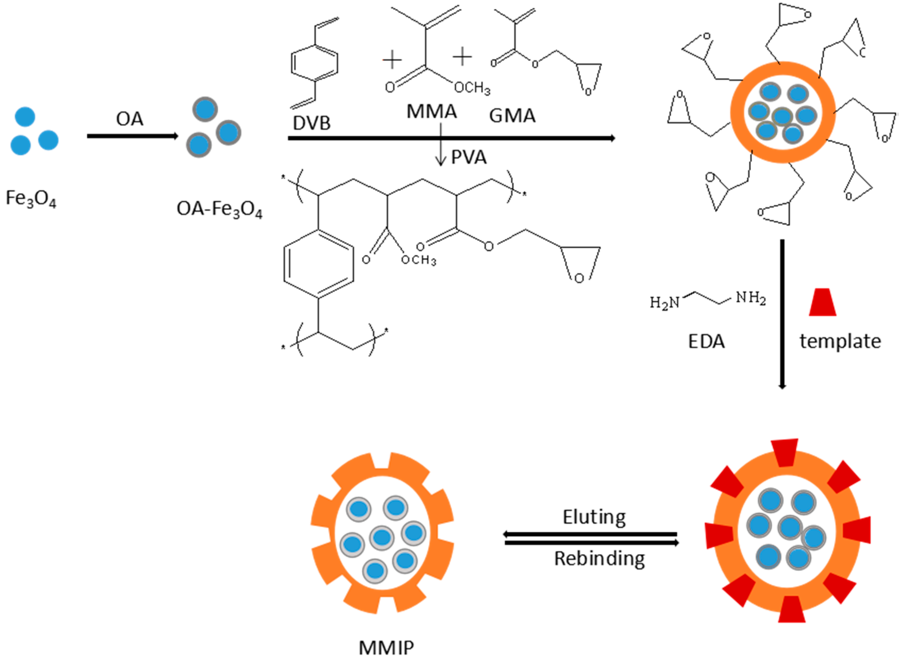 Molecules 21 00915 g001