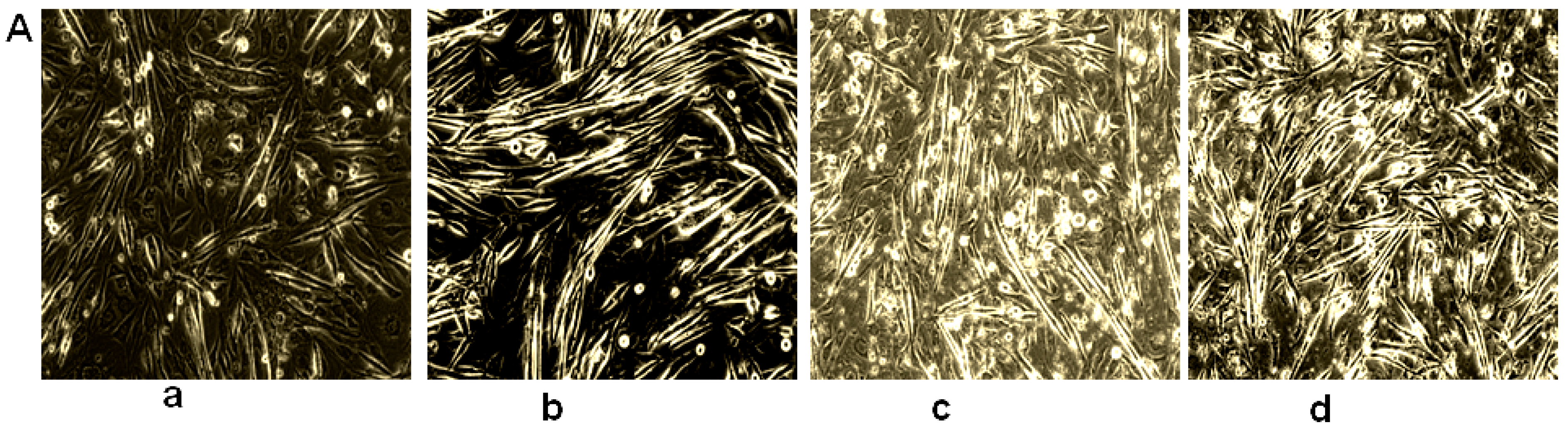 Molecules 21 00997 g002a