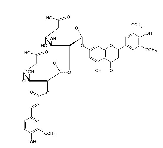 The Use of Mass Spectrometric Techniques to Differentiate Isobaric and Isomeric Flavonoid Conjugates from Axyris amaranthoides The Use of Mass Spectrometric Techniques to Differentiate Isobaric and Isomeric Flavonoid Conjugates from Axyris amaranthoides