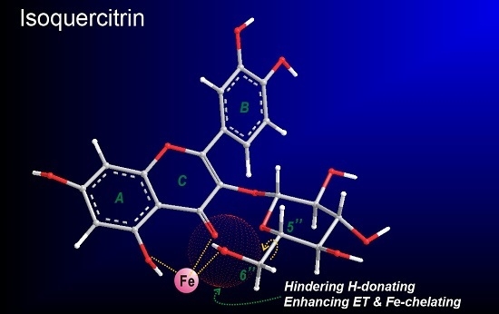 Comparison of the Antioxidant Effects of Quercitrin and Isoquercitrin: Understanding the Role of the 6″-OH Group Comparison of the Antioxidant Effects of Quercitrin and Isoquercitrin: Understanding the Role of the 6″-OH Group