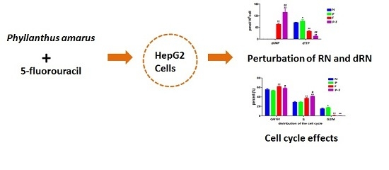 Effect of Phyllanthus amarus Extract on 5-Fluorouracil-Induced Perturbations in Ribonucleotide and Deoxyribonucleotide Pools in HepG2 Cell Line Effect of Phyllanthus amarus Extract on 5-Fluorouracil-Induced Perturbations in Ribonucleotide and Deoxyribonucleotide Pools in HepG2 Cell Line