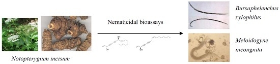 Identification of Nematicidal Constituents of Notopterygium incisum Rhizomes against Bursaphelenchus xylophilus and Meloidogyne incognita Identification of Nematicidal Constituents of Notopterygium incisum Rhizomes against Bursaphelenchus xylophilus and Meloidogyne incognita