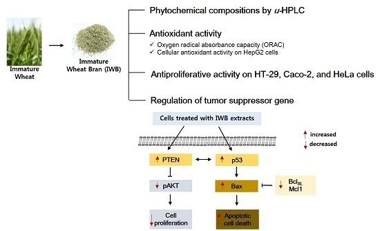 Phytochemical Compositions of Immature Wheat Bran, and Its Antioxidant Capacity, Cell Growth Inhibition, and Apoptosis Induction through Tumor Suppressor Gene Phytochemical Compositions of Immature Wheat Bran, and Its Antioxidant Capacity, Cell Growth Inhibition, and Apoptosis Induction through Tumor Suppressor Gene