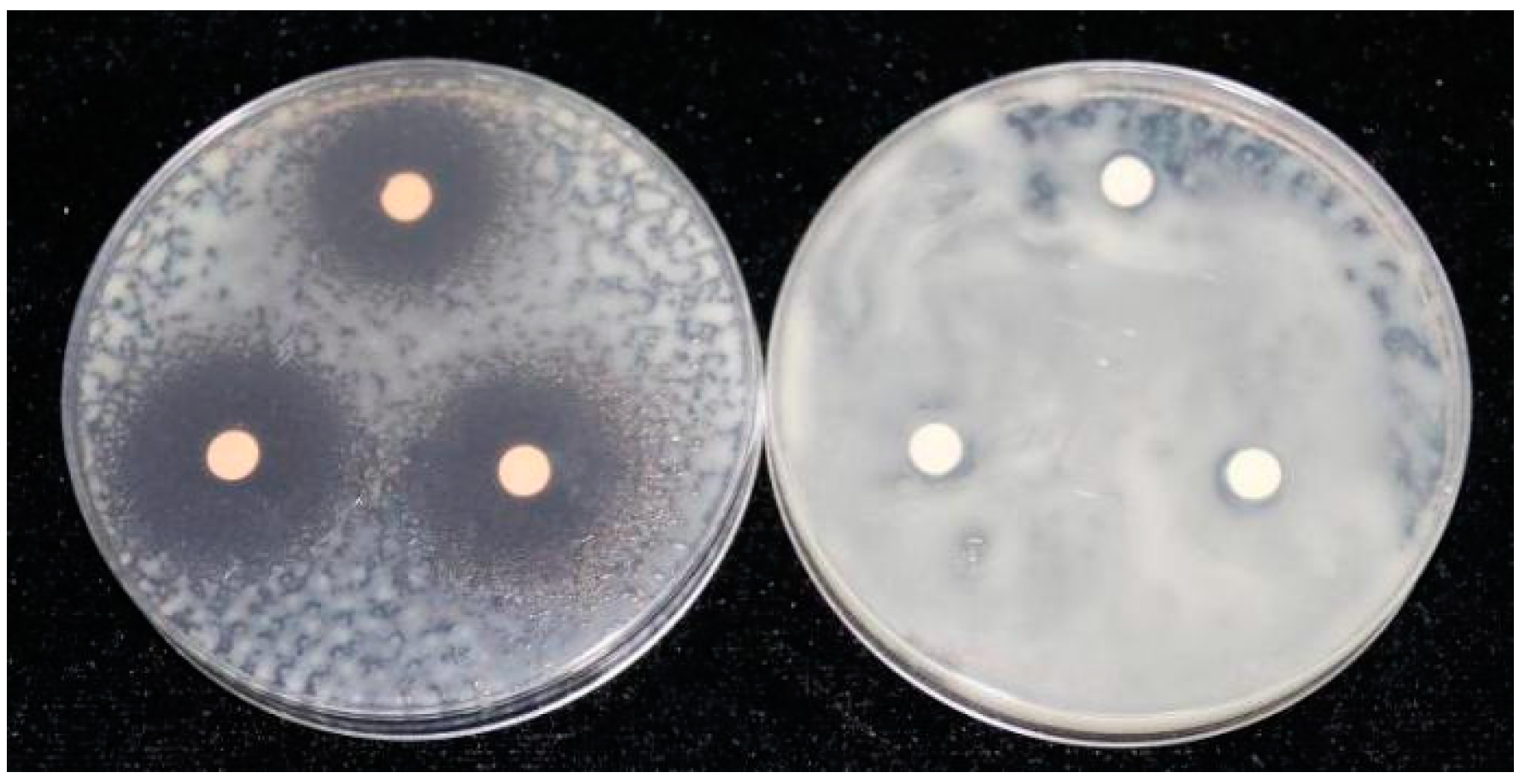 Molecules 21 01397 g002