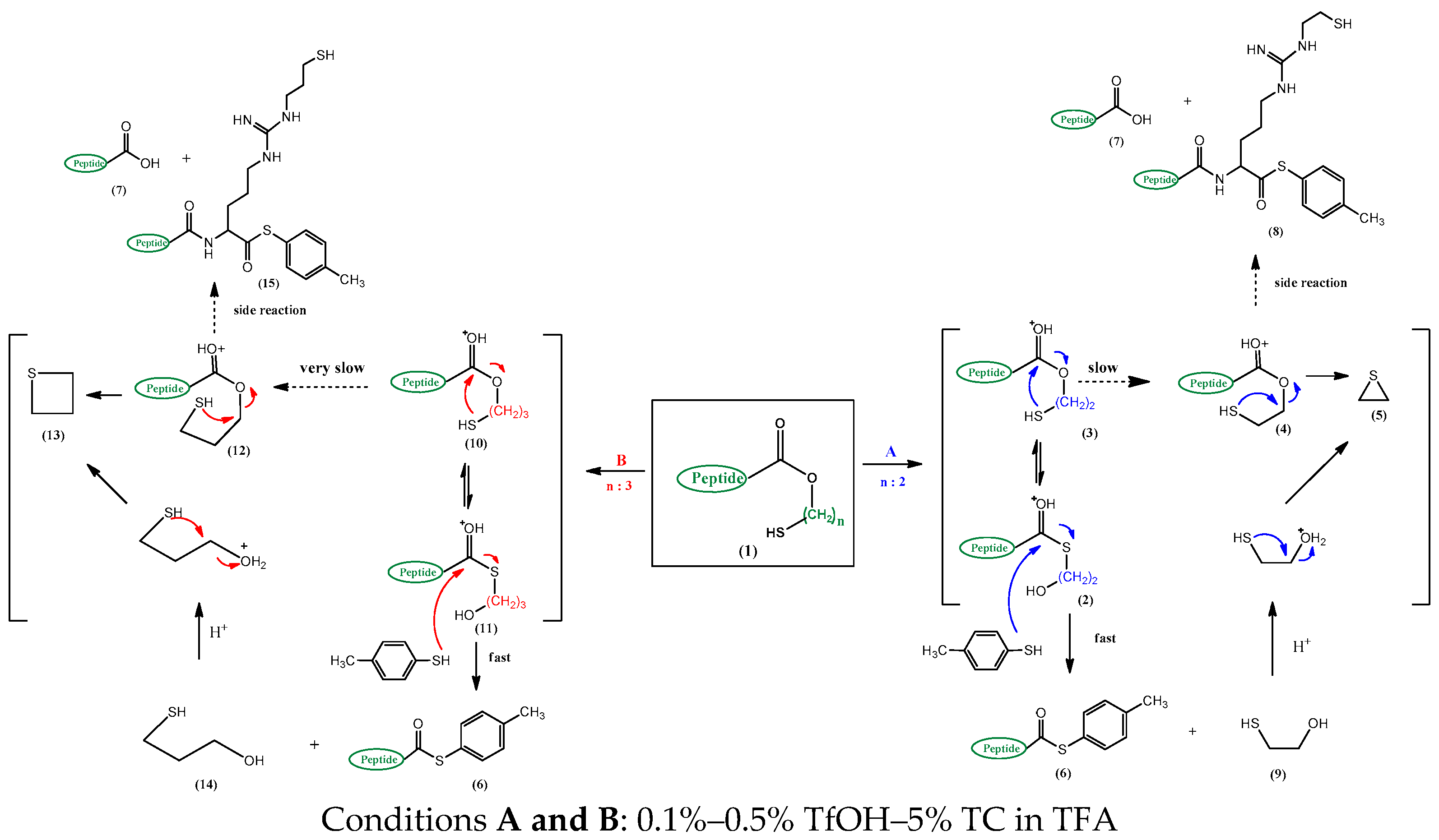 Molecules 21 01559 sch002