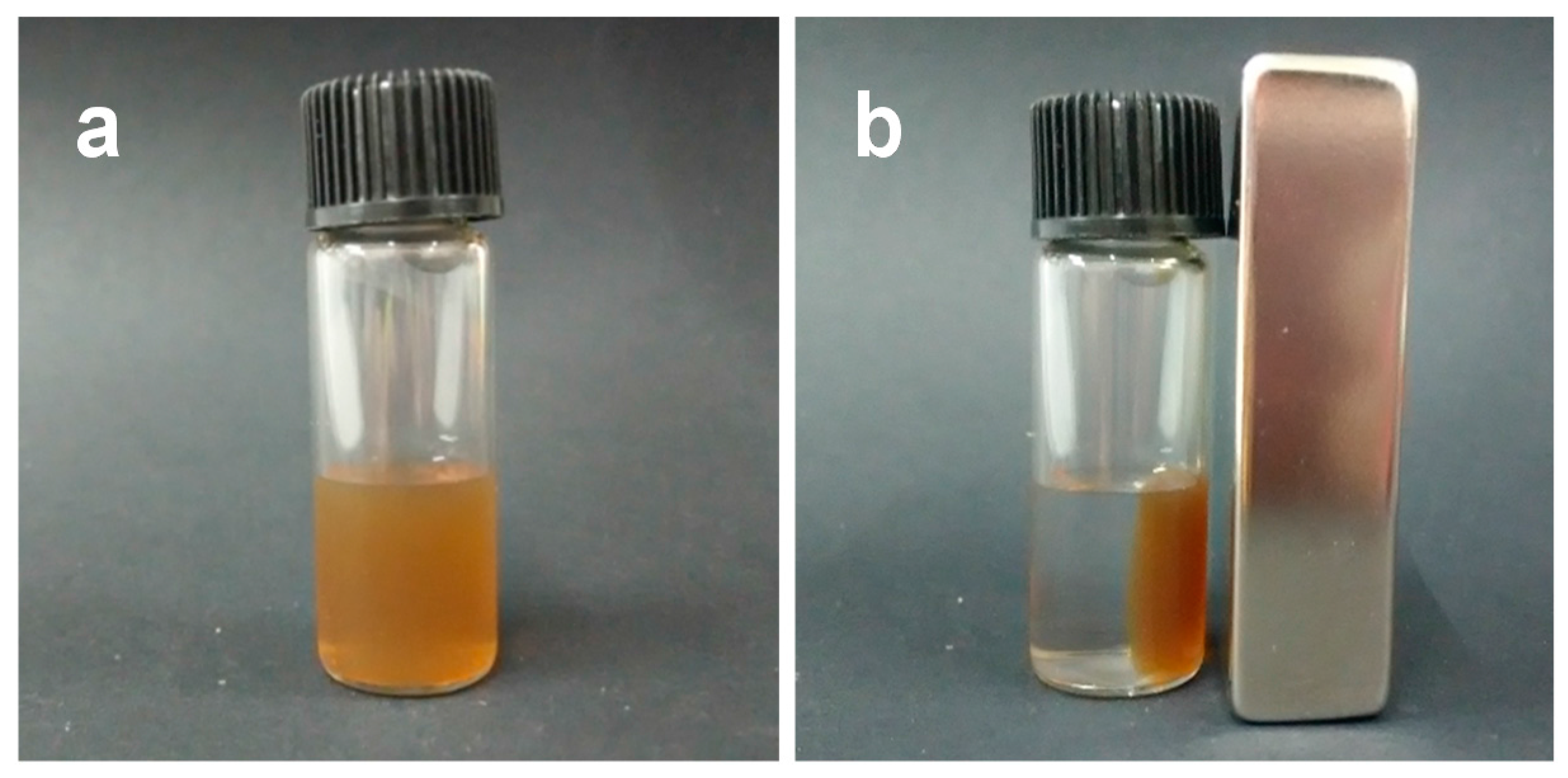 Molecules 22 00179 g001