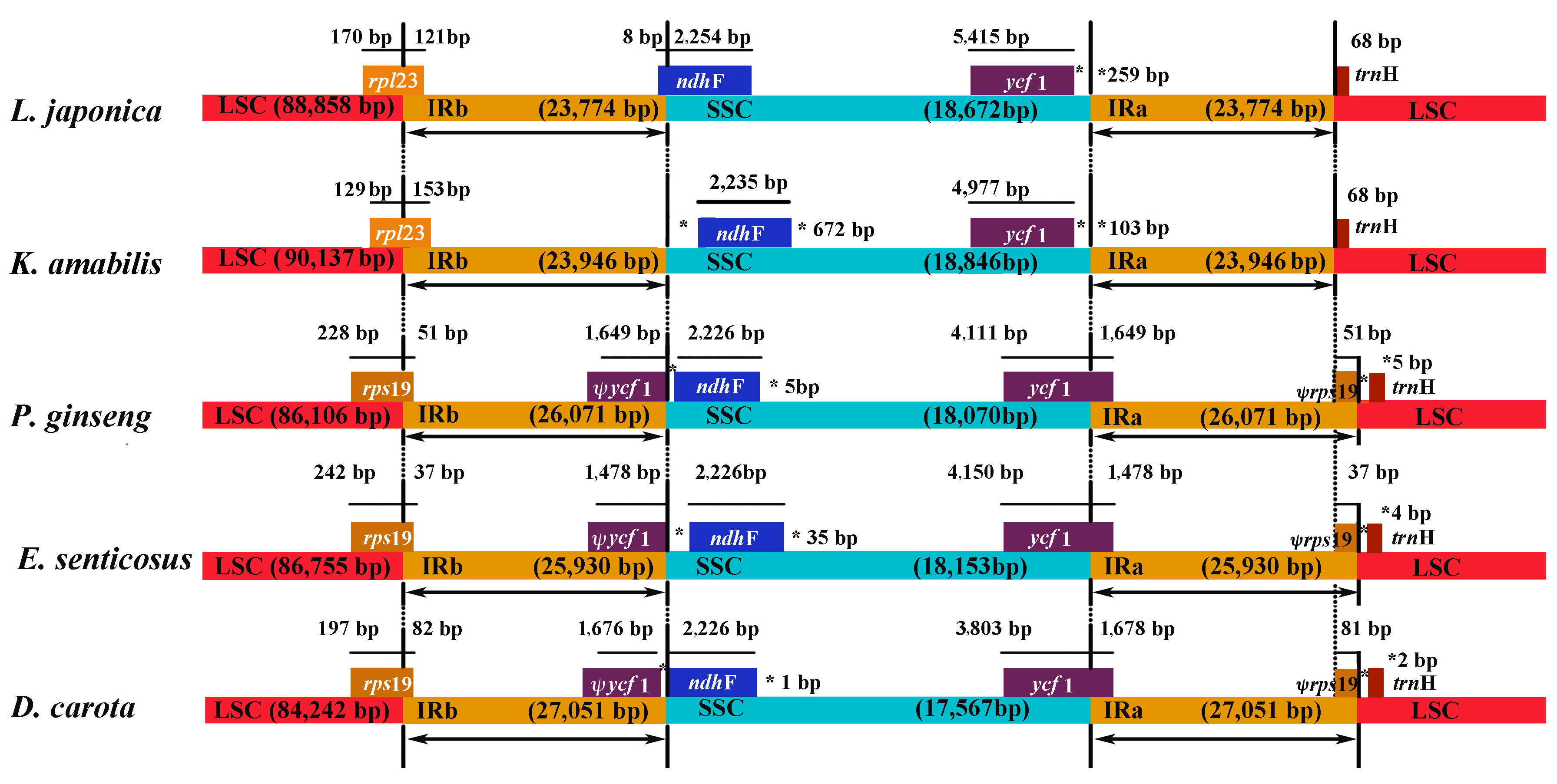 Molecules 22 00249 g003