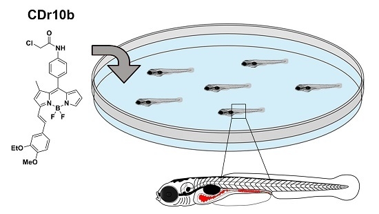 The Vital Dye CDr10b Labels the Zebrafish Mid-Intestine and Lumen The Vital Dye CDr10b Labels the Zebrafish Mid-Intestine and Lumen