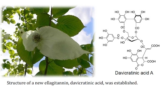 Ellagitannins of Davidia involucrata. I. Structure of Davicratinic Acid A and Effects of Davidia Tannins on Drug-Resistant Bacteria and Human Oral Squamous Cell Carcinomas Ellagitannins of Davidia involucrata. I. Structure of Davicratinic Acid A and Effects of Davidia Tannins on Drug-Resistant Bacteria and Human Oral Squamous Cell Carcinomas