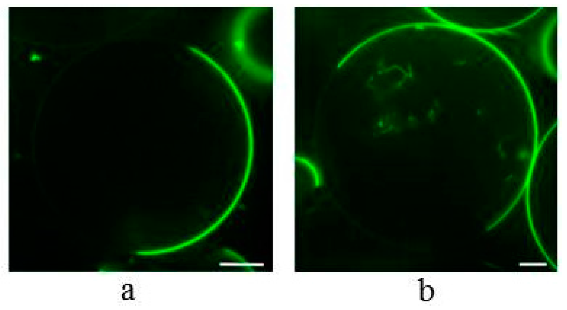 Molecules 22 01390 g004
