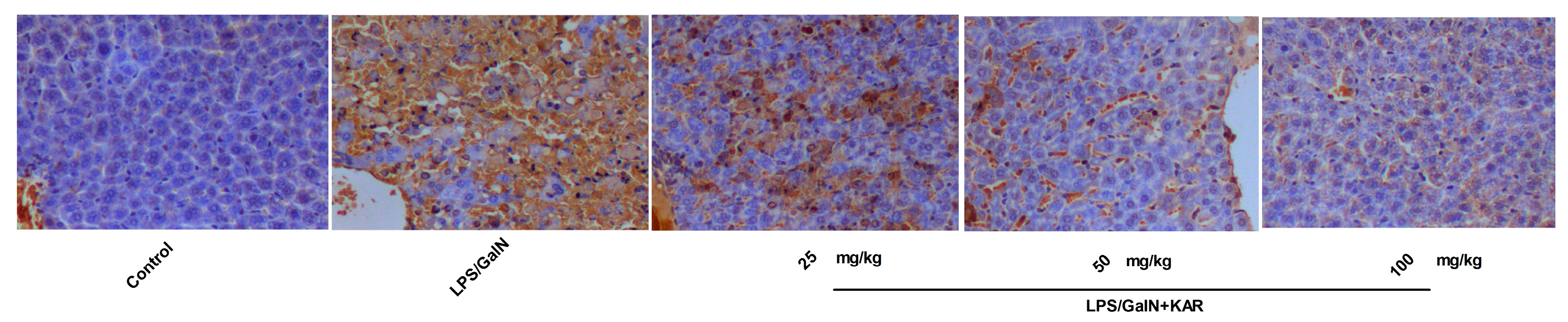 Molecules 22 01755 g006