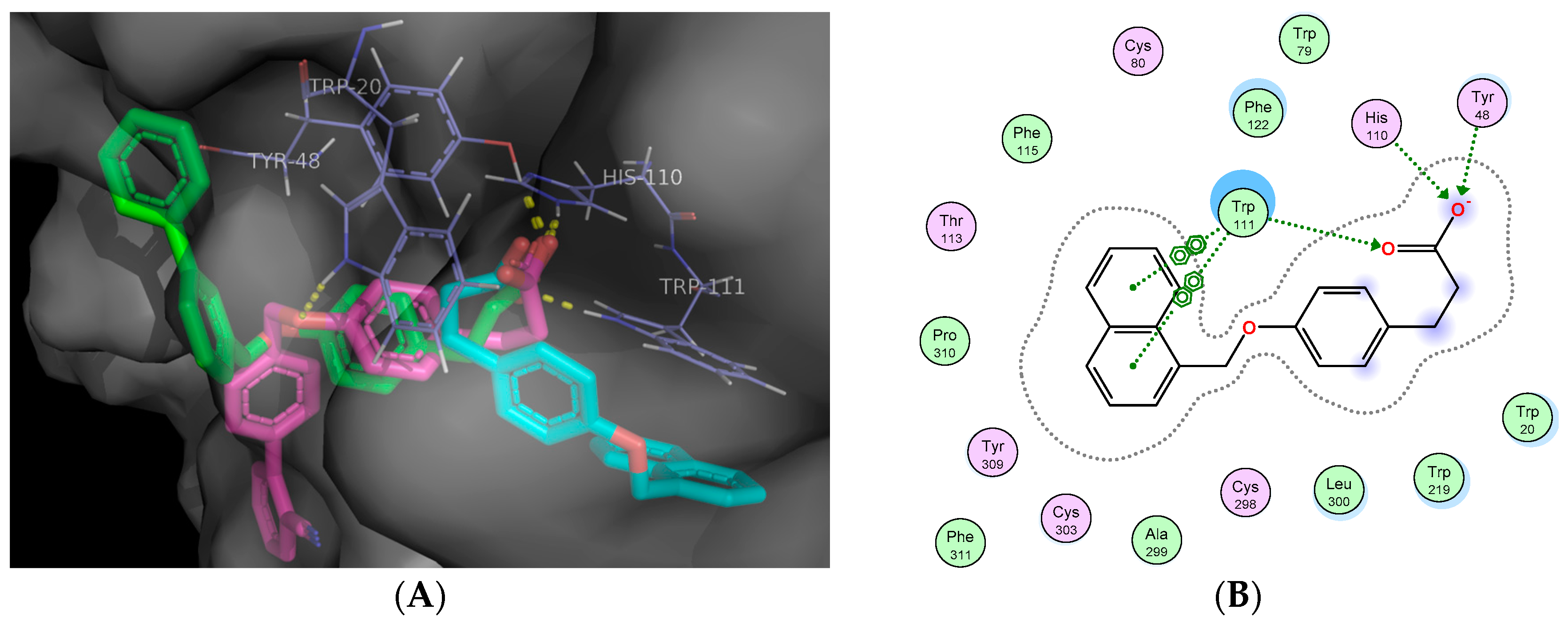 Molecules 23 00340 g005