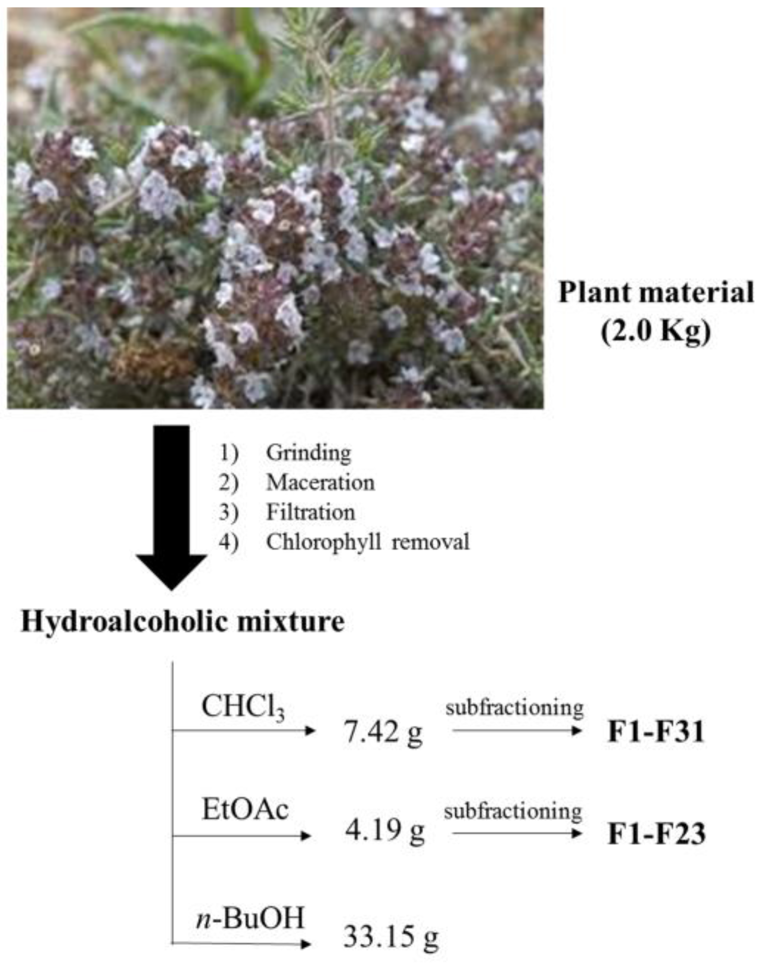 Molecules 23 00463 g001 Molecules 23 00463 g001