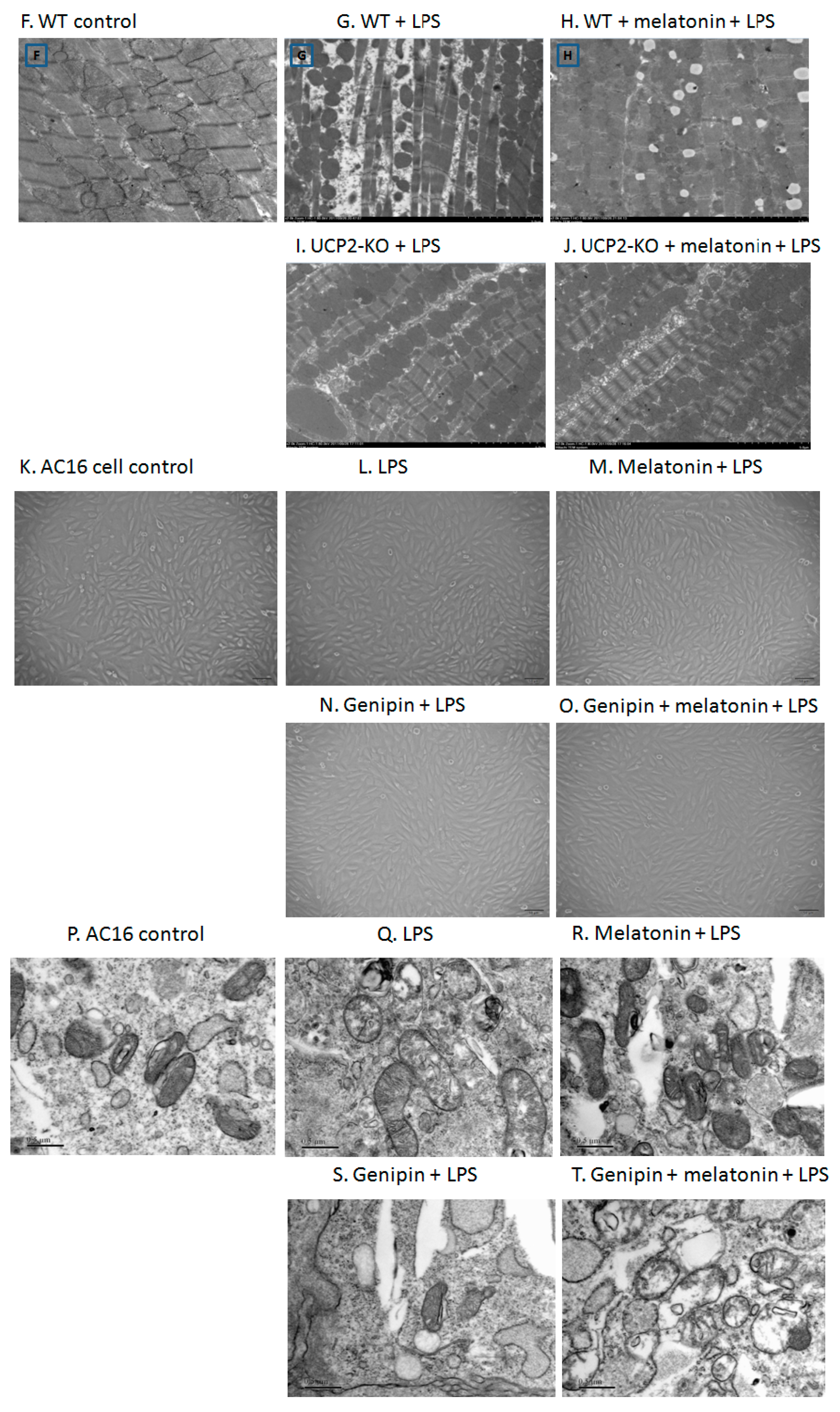 Molecules 23 00675 g002b Molecules 23 00675 g002b