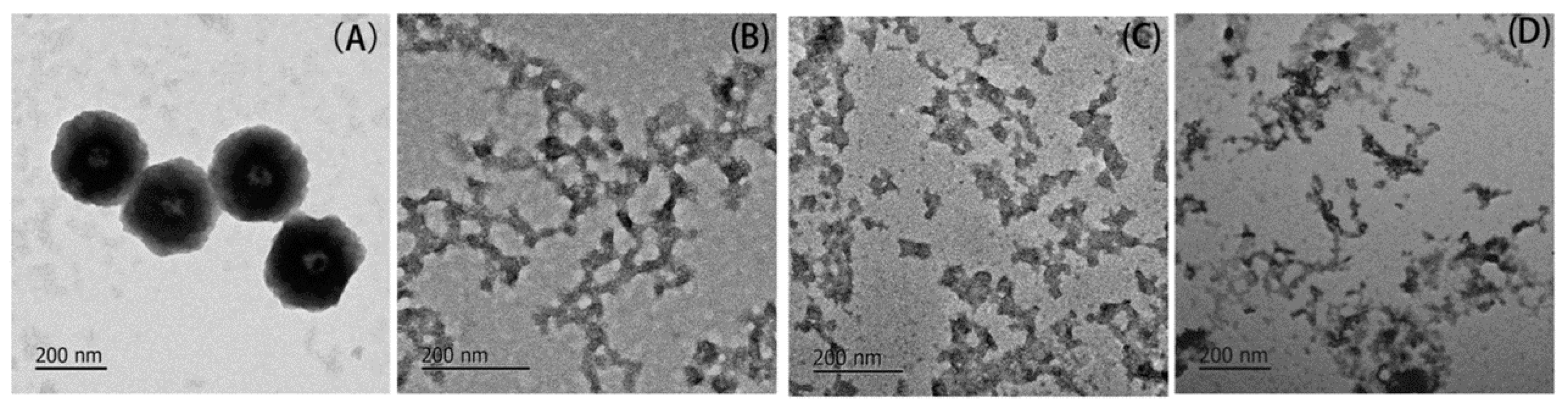 Molecules 23 00712 g002 Molecules 23 00712 g002