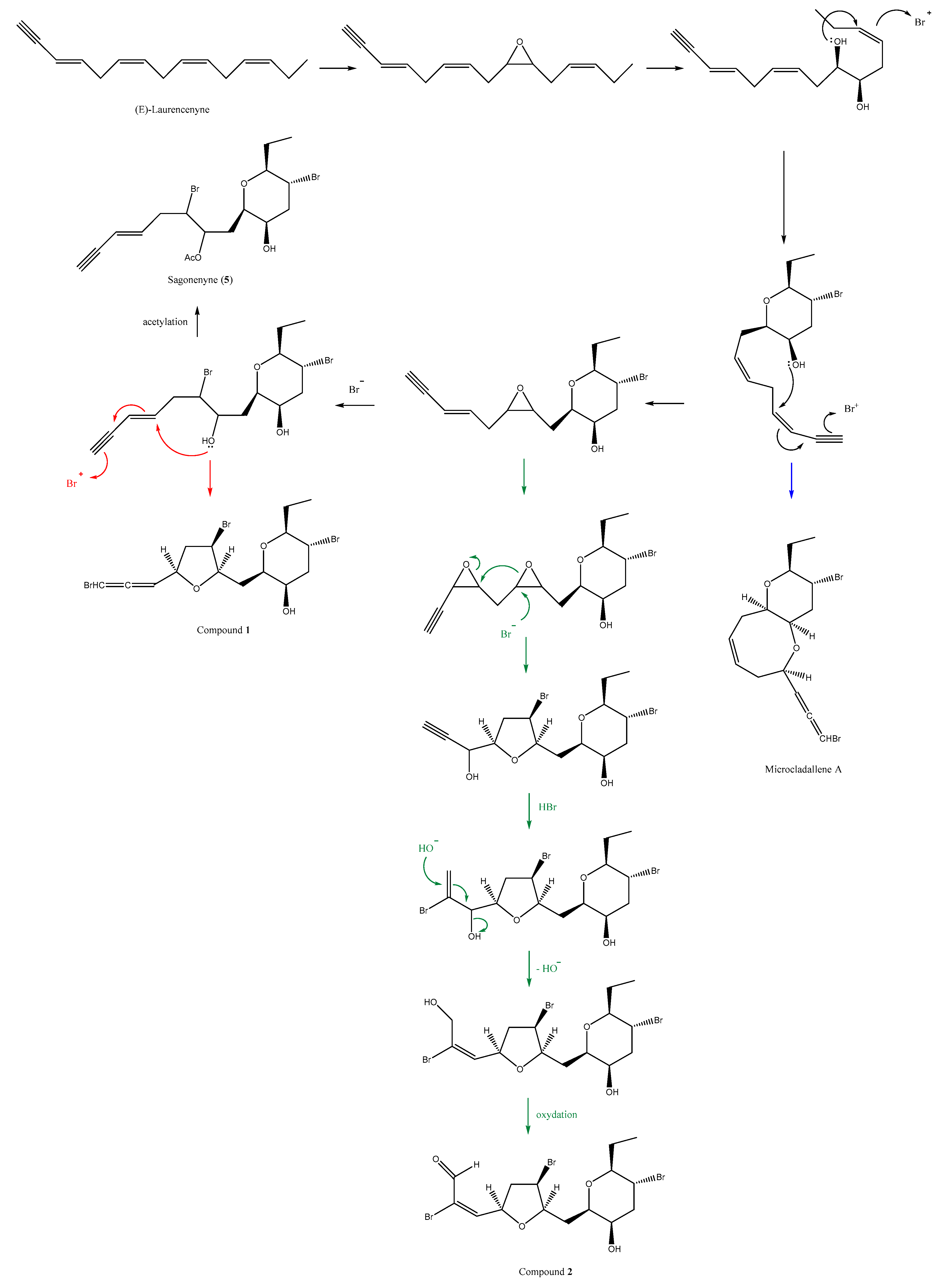 Molecules 23 00720 g003 Molecules 23 00720 g003