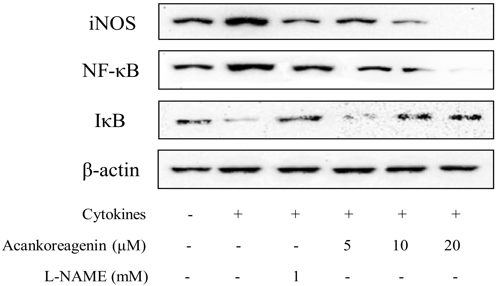 Molecules 23 00958 g008 Molecules 23 00958 g008