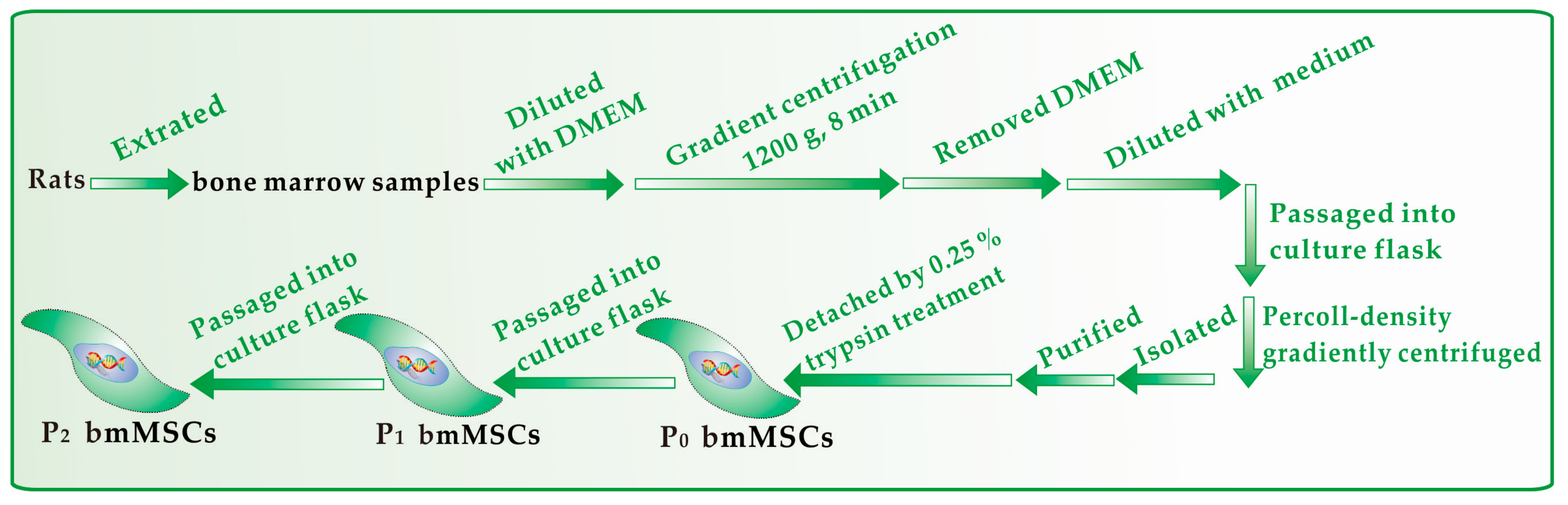 Molecules 23 00973 g008