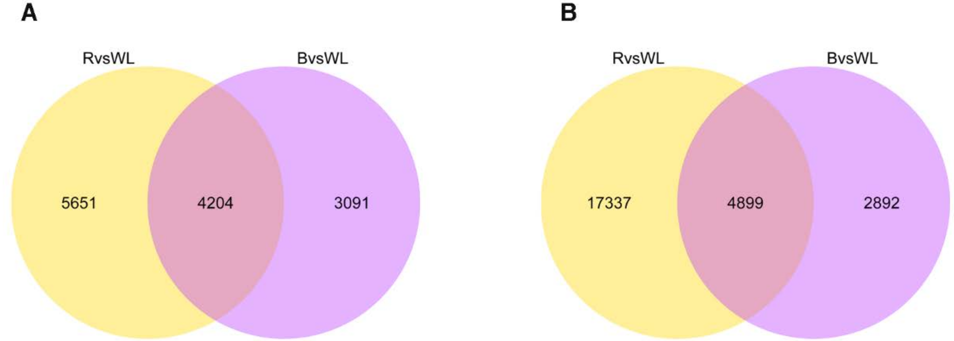 Molecules 23 01329 g004