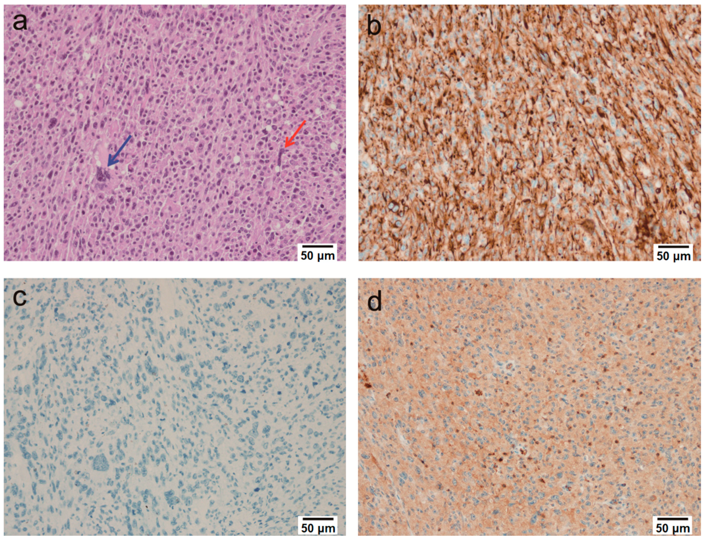Molecules 23 01360 g002