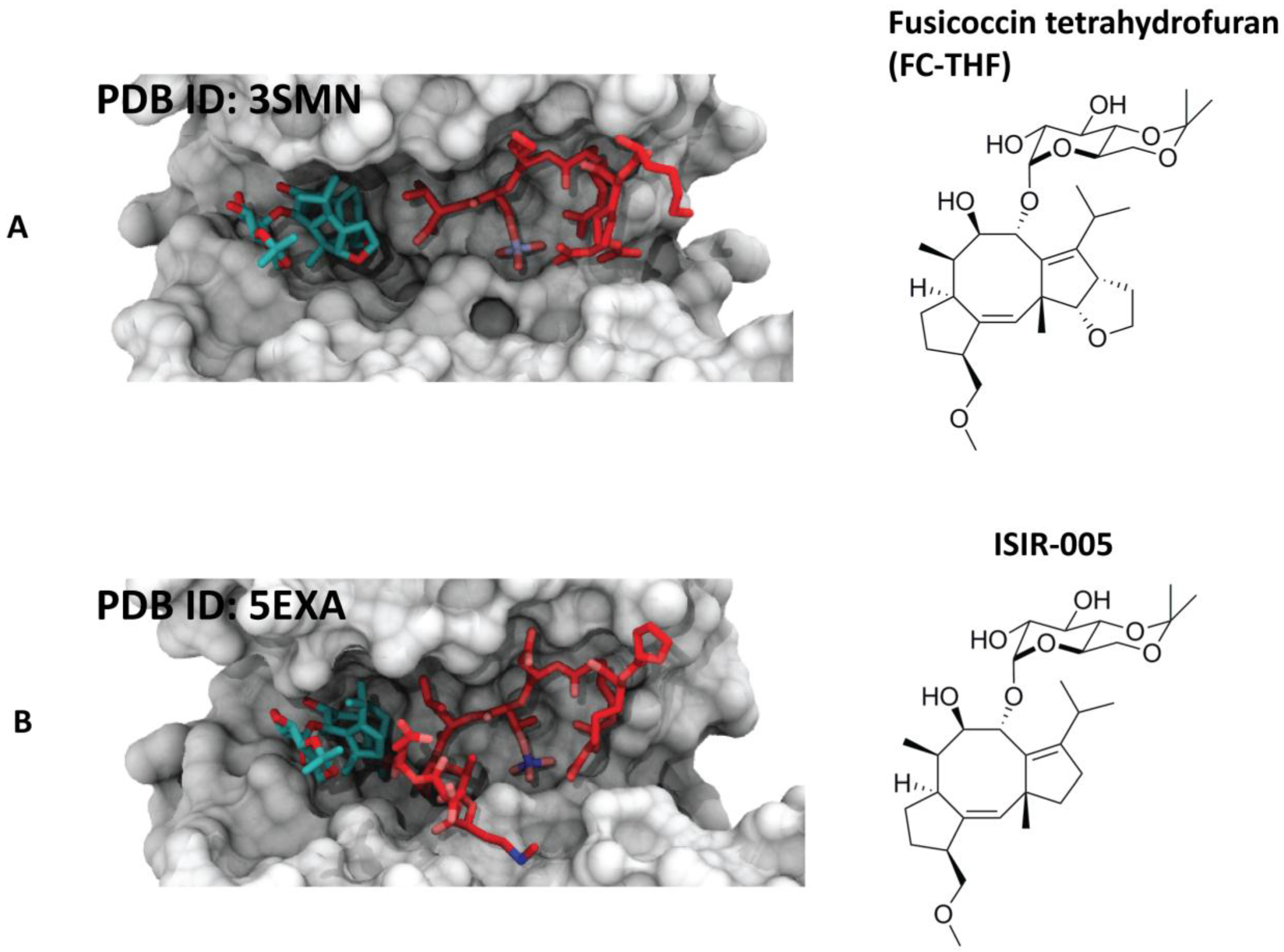 Molecules 23 01386 g005