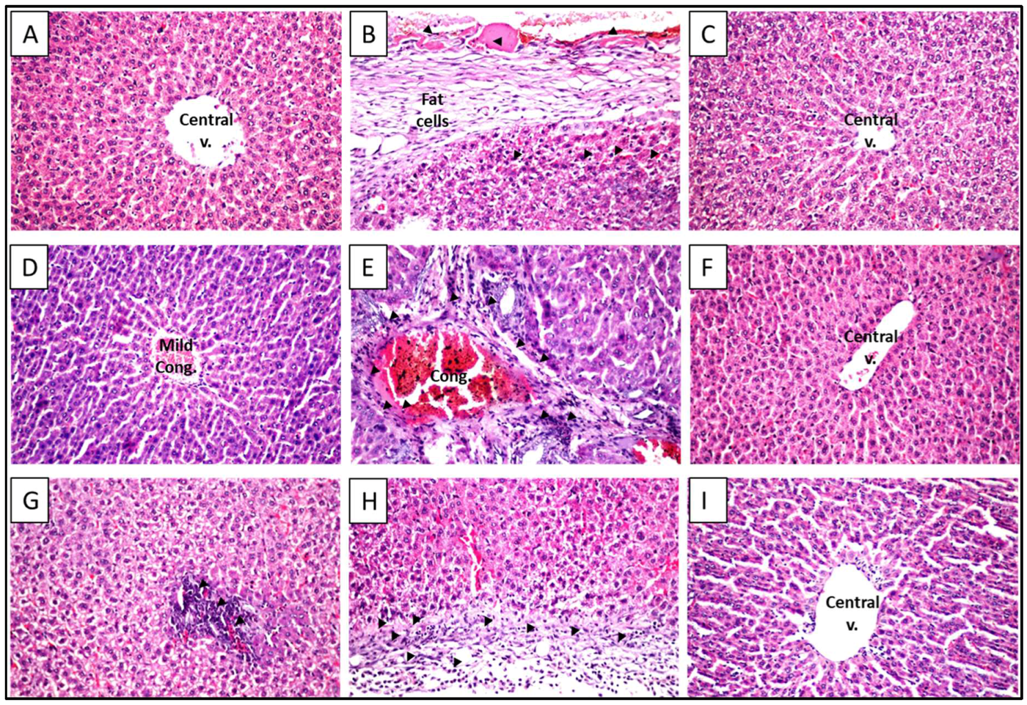 Molecules 23 01411 g003 Molecules 23 01411 g003