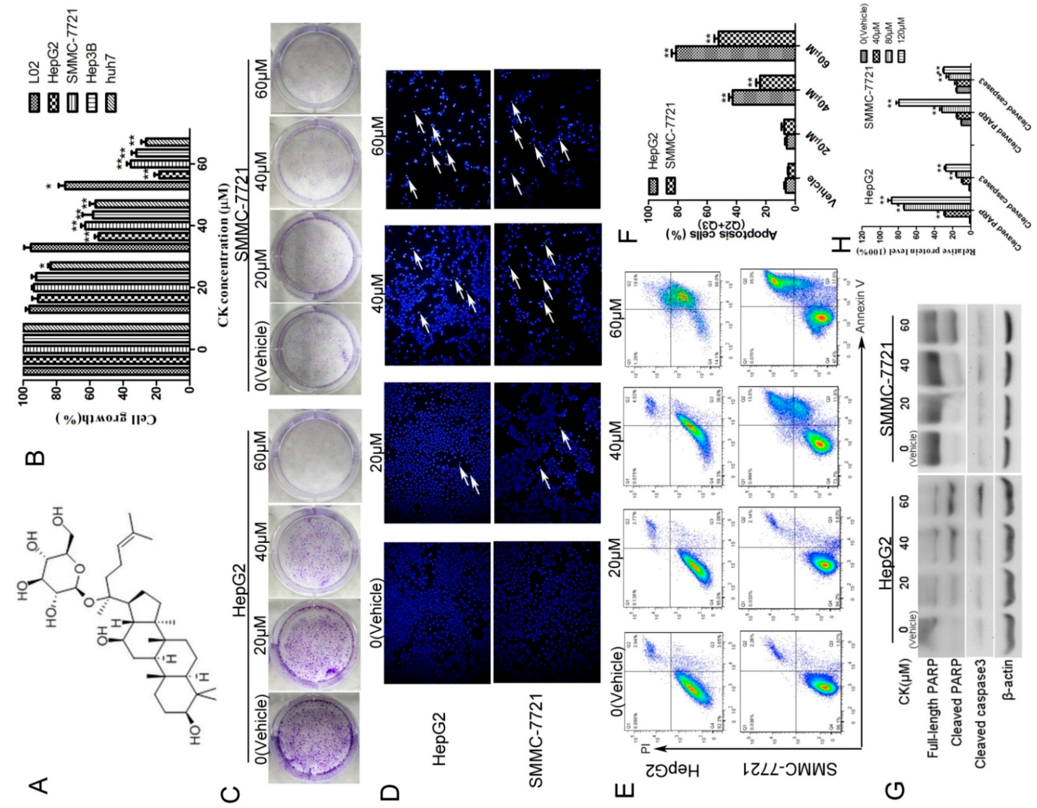Molecules 23 01482 g001