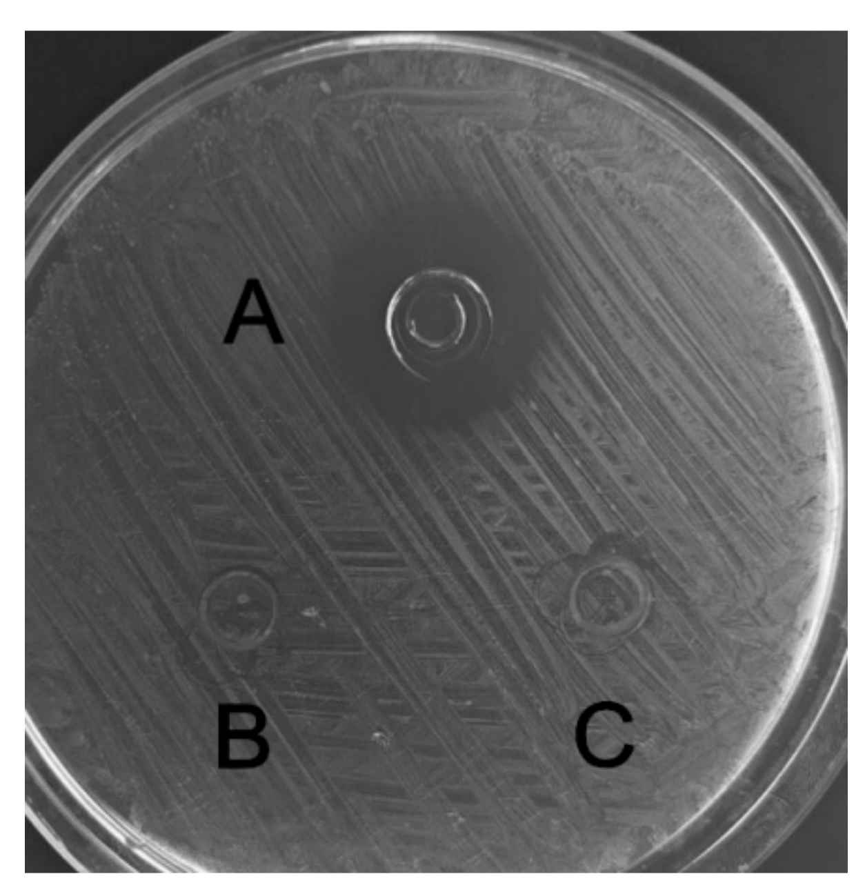 Molecules 23 01491 g006