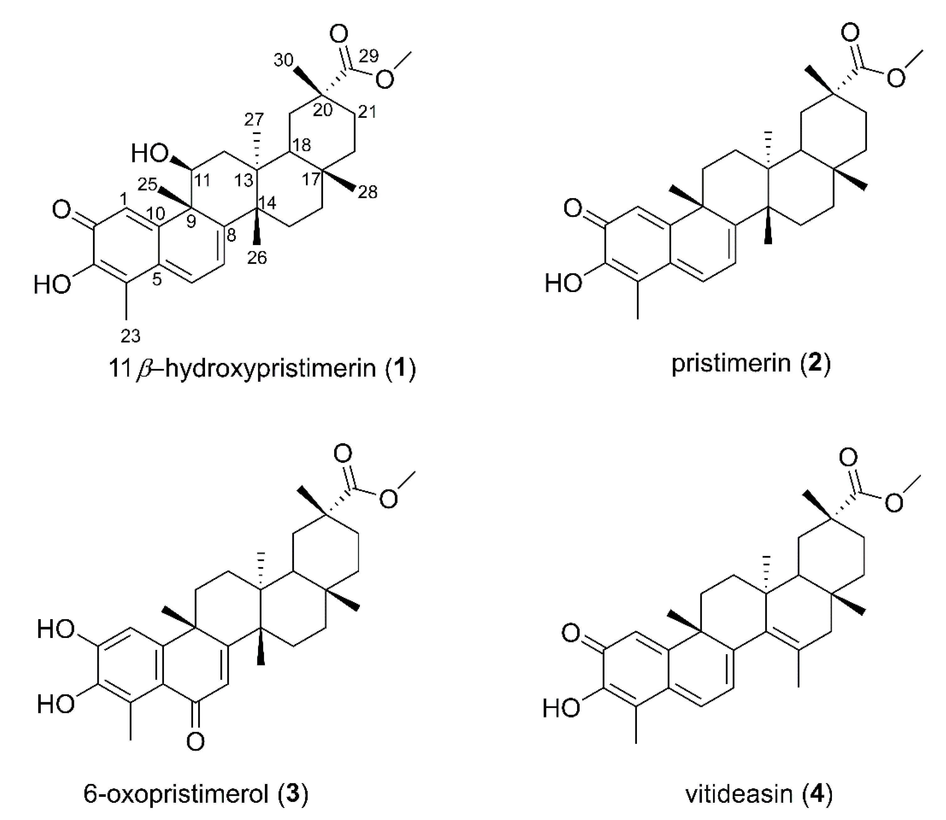 Molecules 23 01494 g002