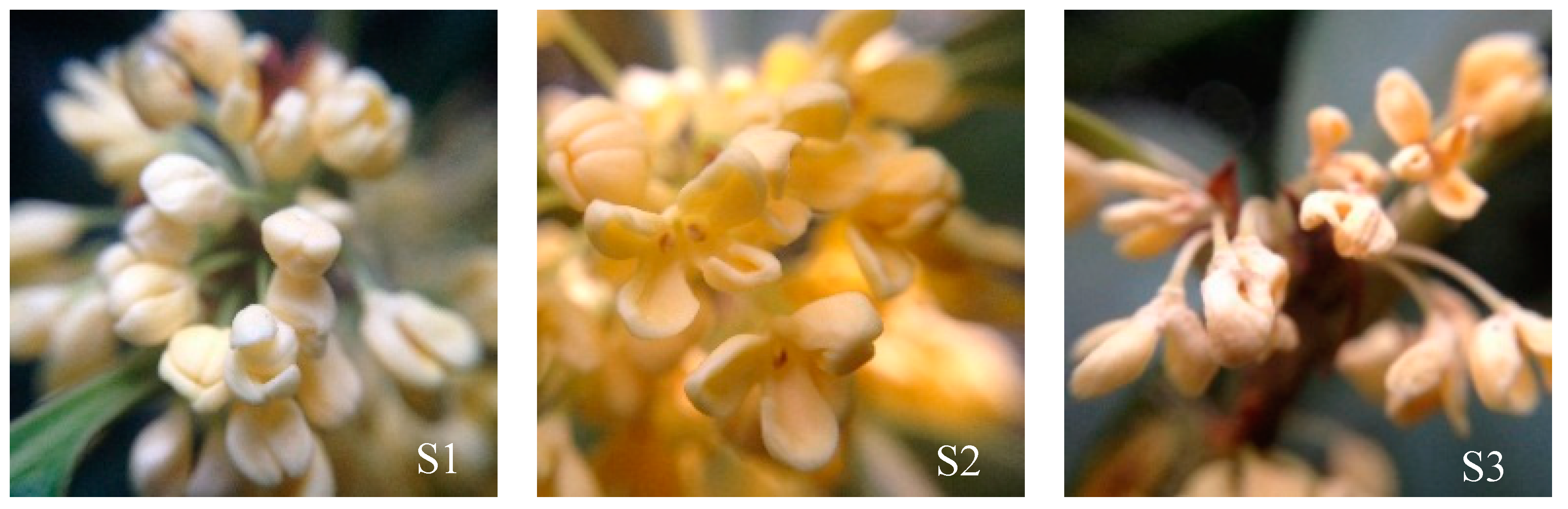 Molecules 23 01604 g001