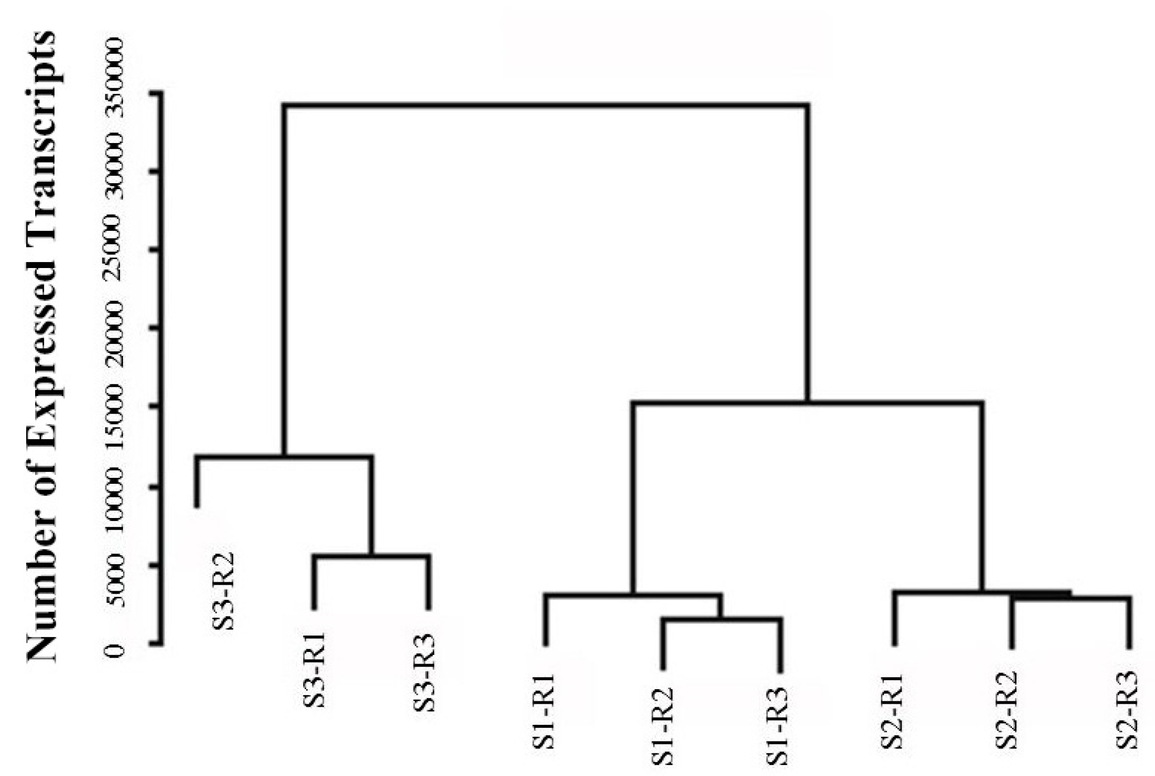 Molecules 23 01604 g003