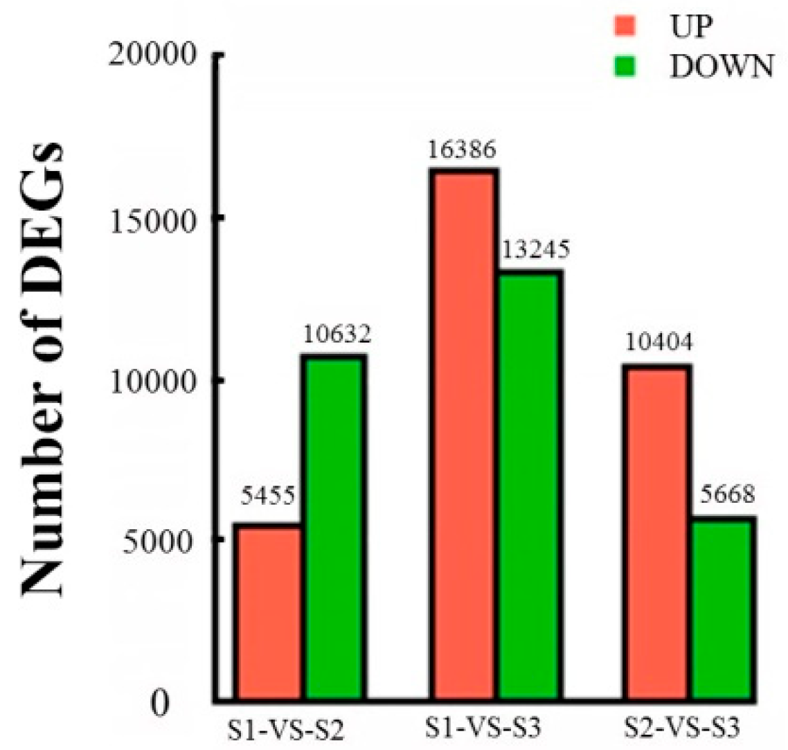 Molecules 23 01604 g005