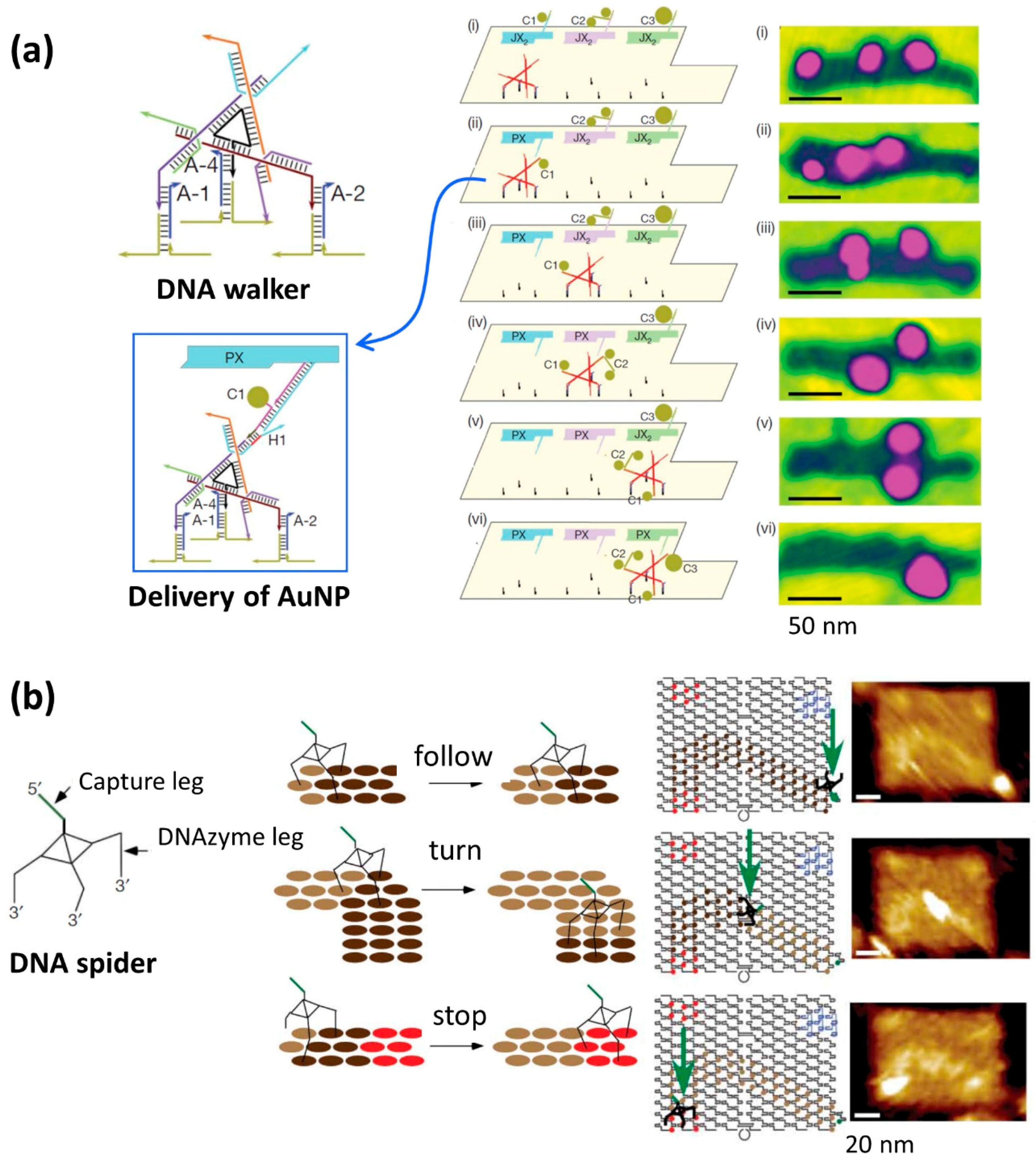 Molecules 23 01766 g002