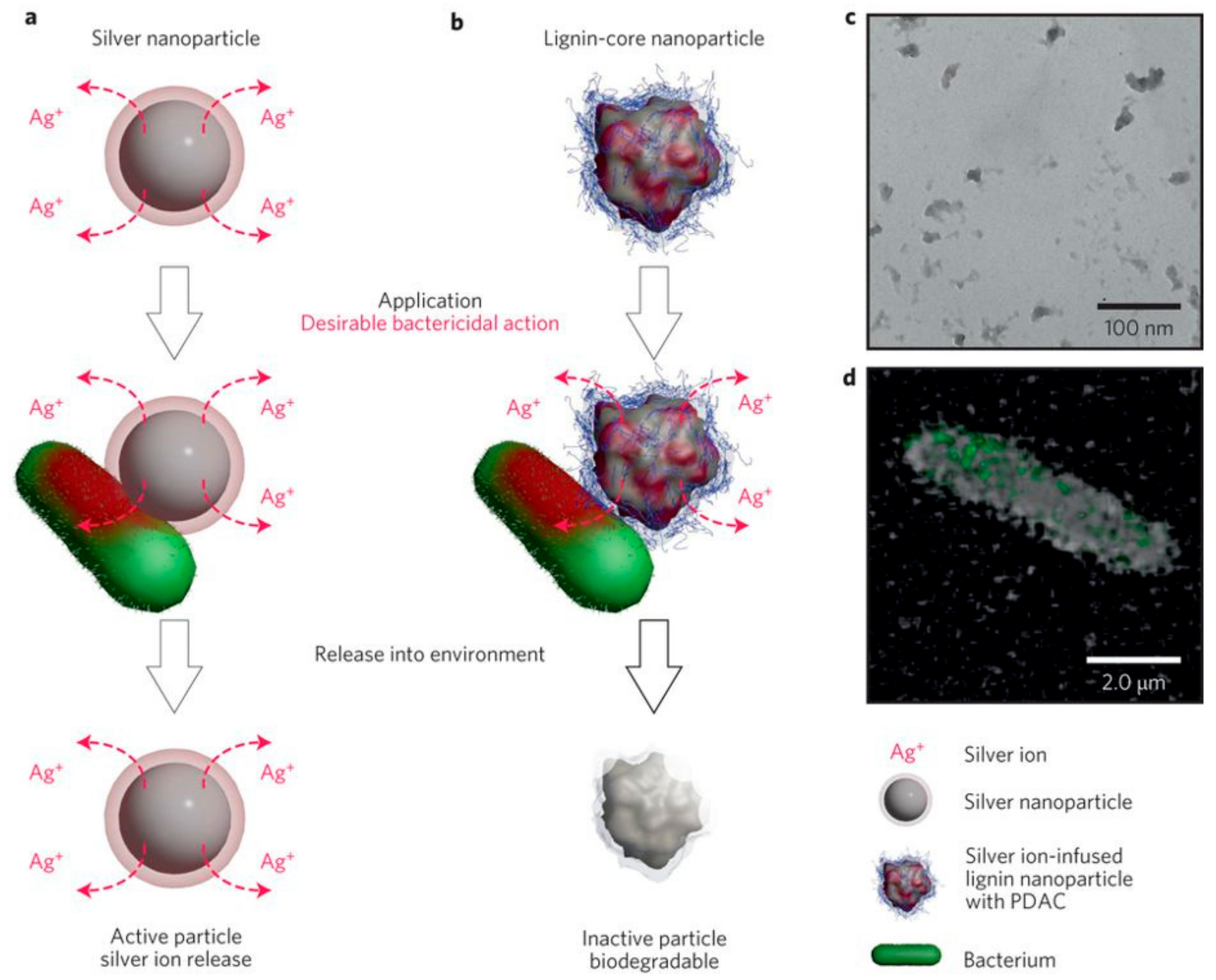 Molecules 23 01885 g007 Molecules 23 01885 g007