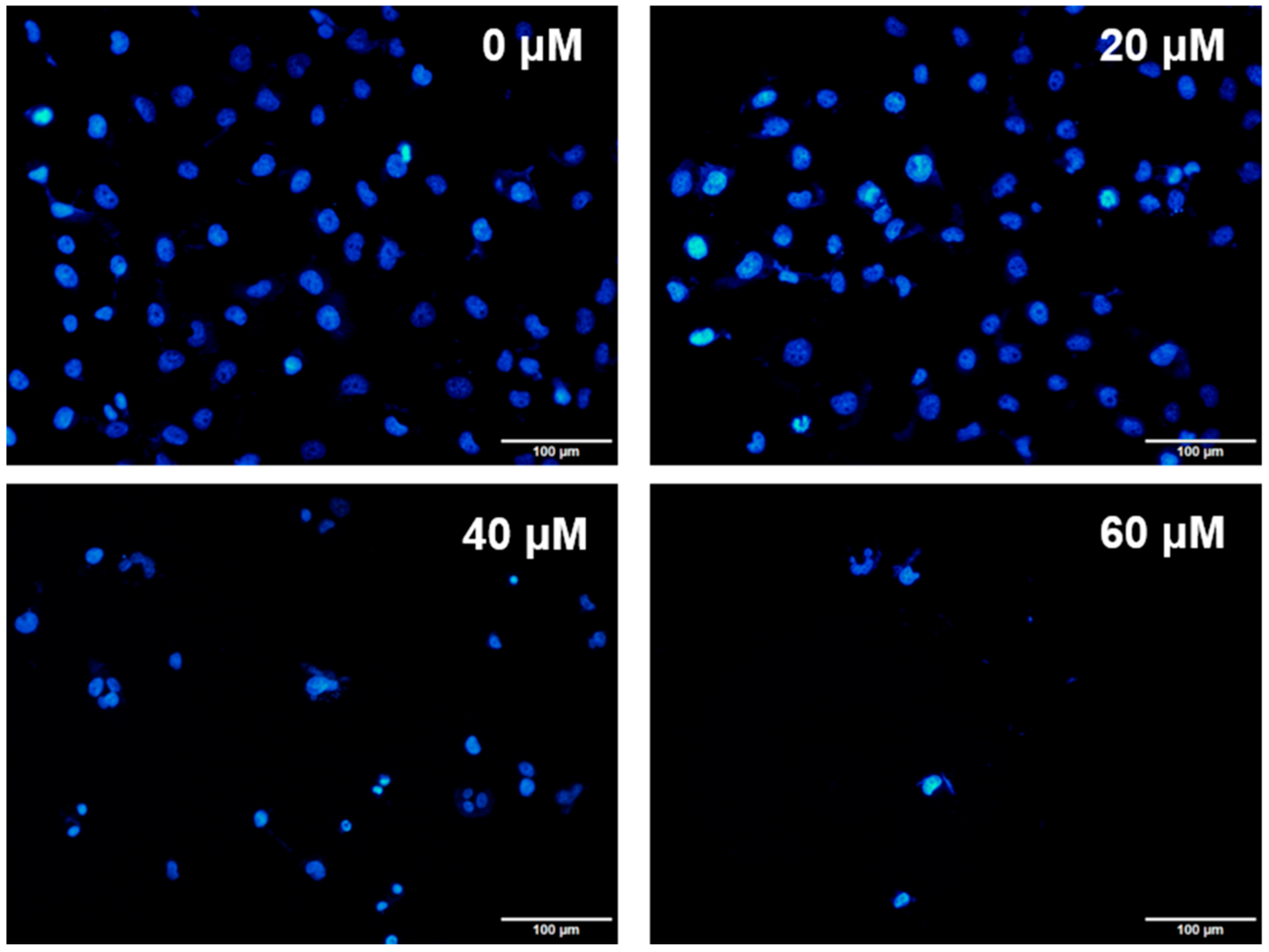 Molecules 23 02016 g004