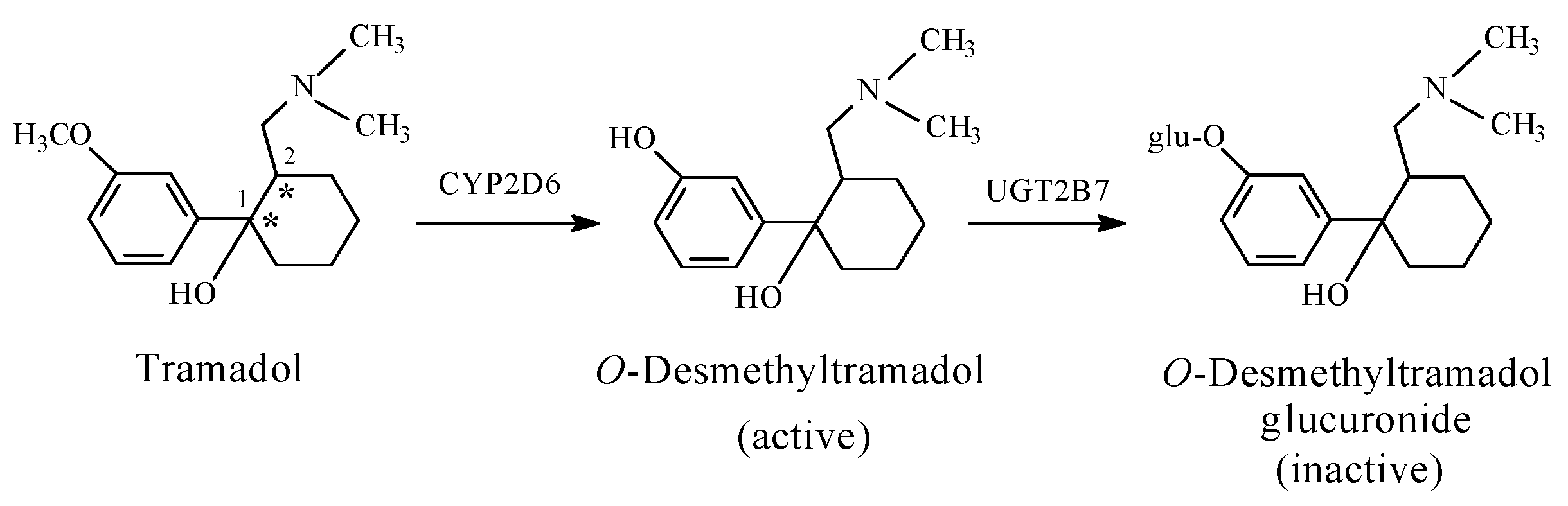 Molecules 23 02119 g007 Molecules 23 02119 g007