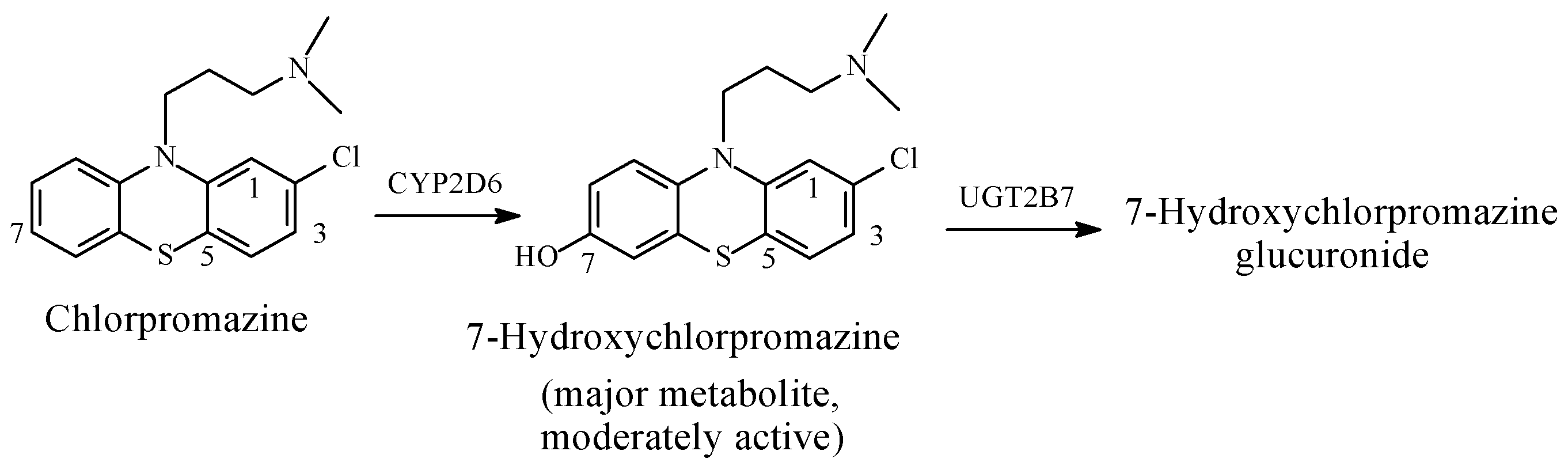 Molecules 23 02119 g026 Molecules 23 02119 g026