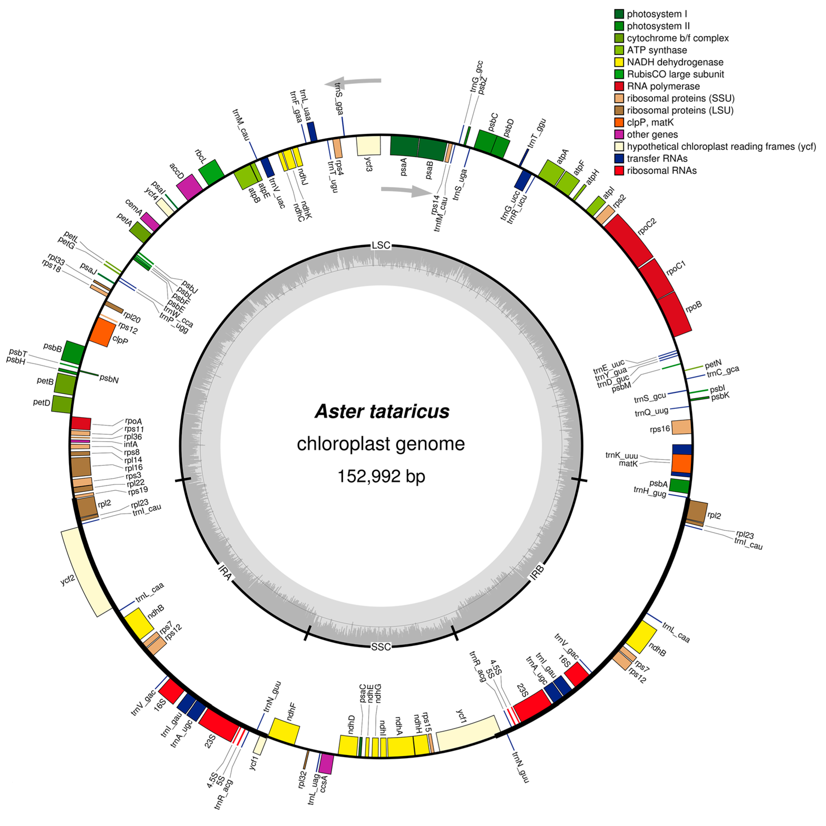 Molecules 23 02426 g001