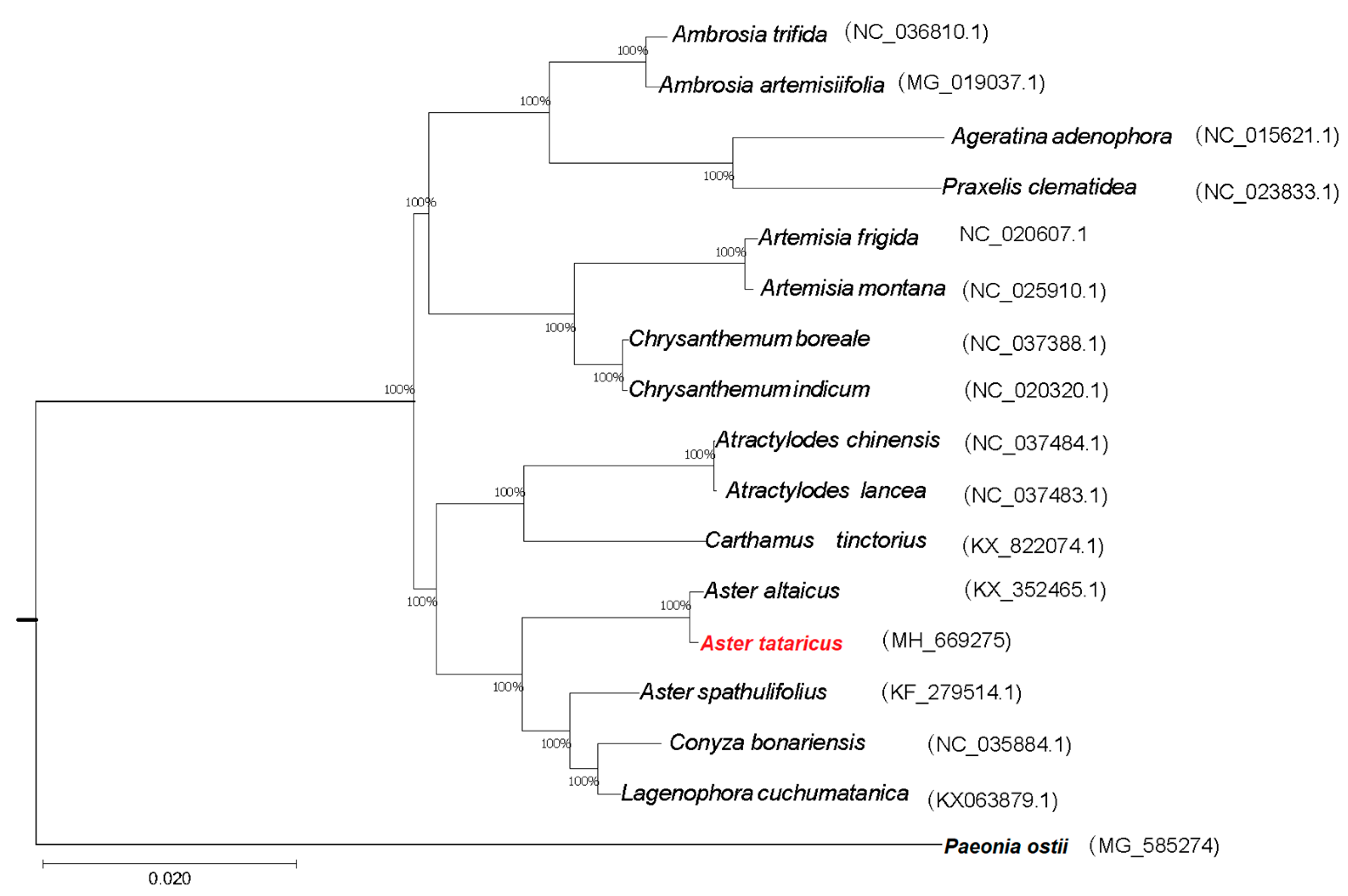 Molecules 23 02426 g005
