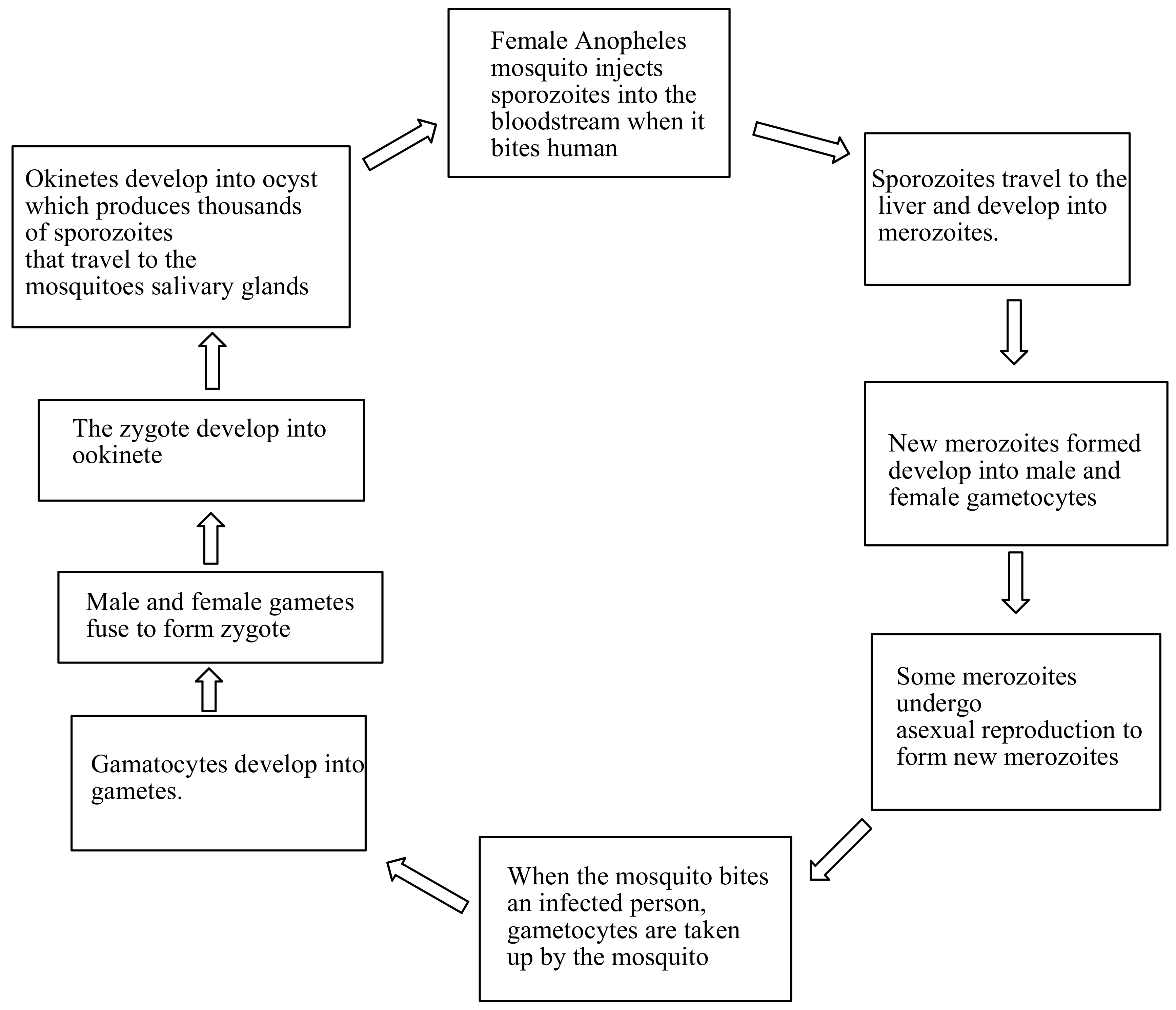 Molecules 23 02527 g001
