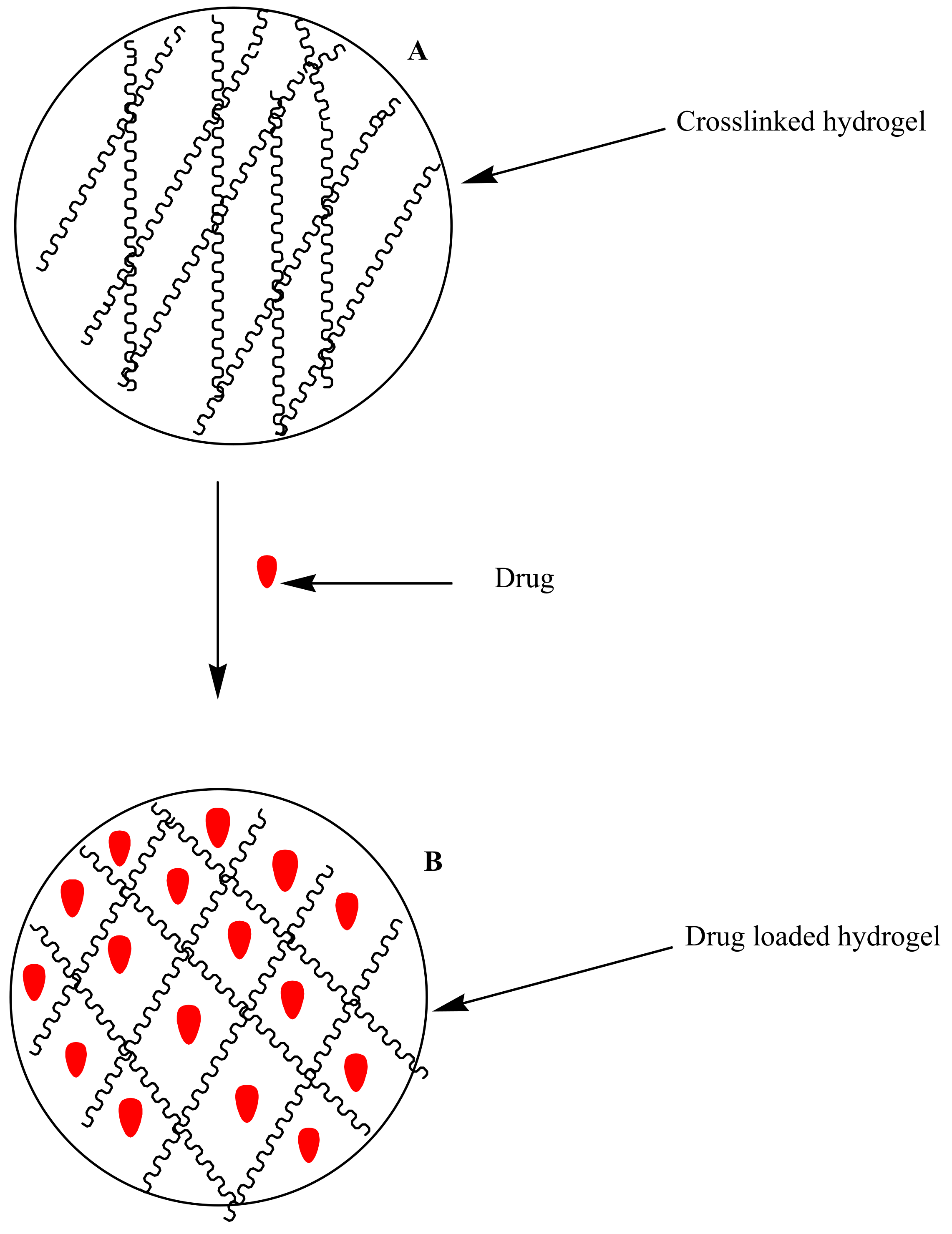 Molecules 23 02527 g003