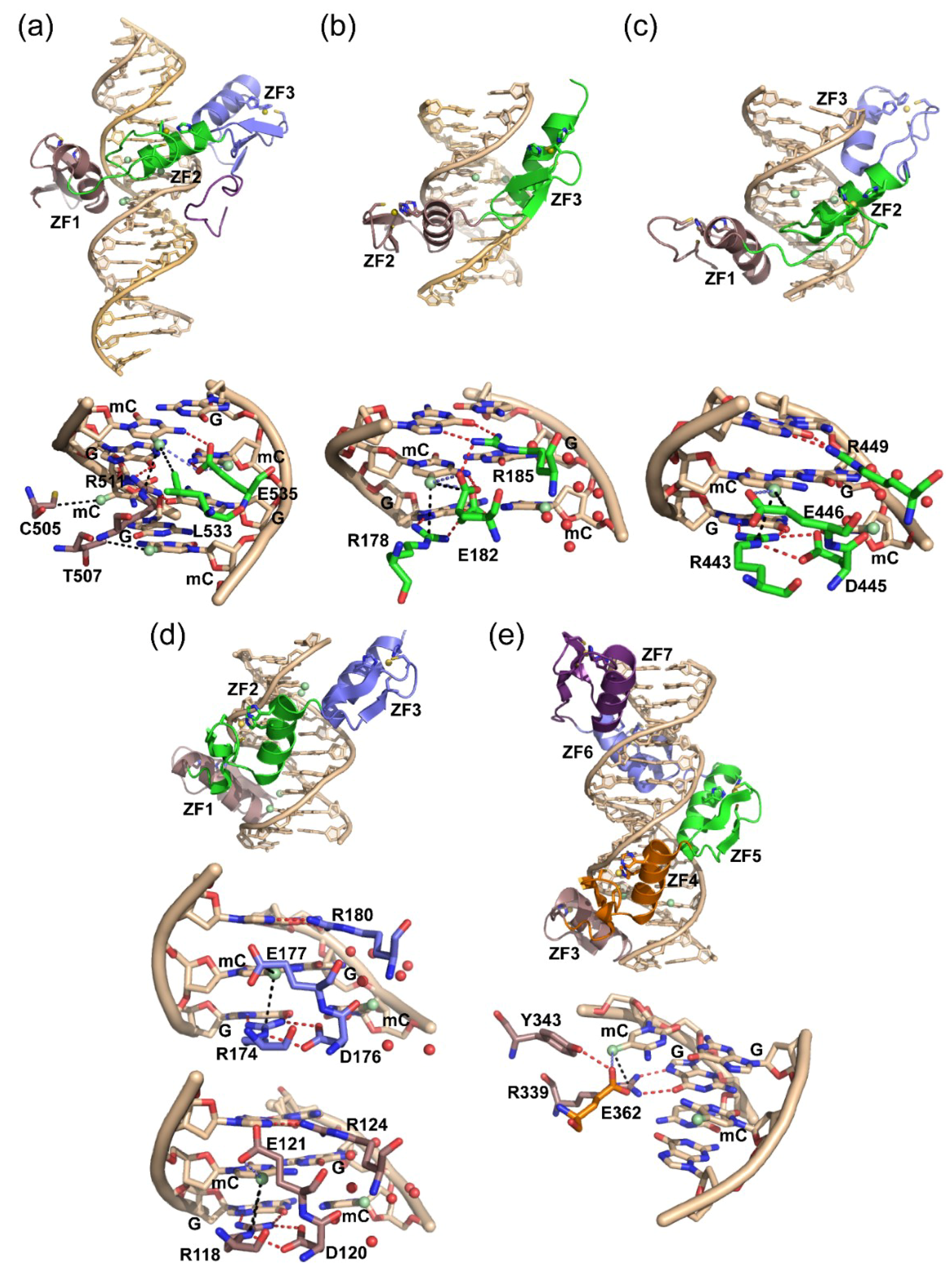Molecules 23 02555 g002 Molecules 23 02555 g002